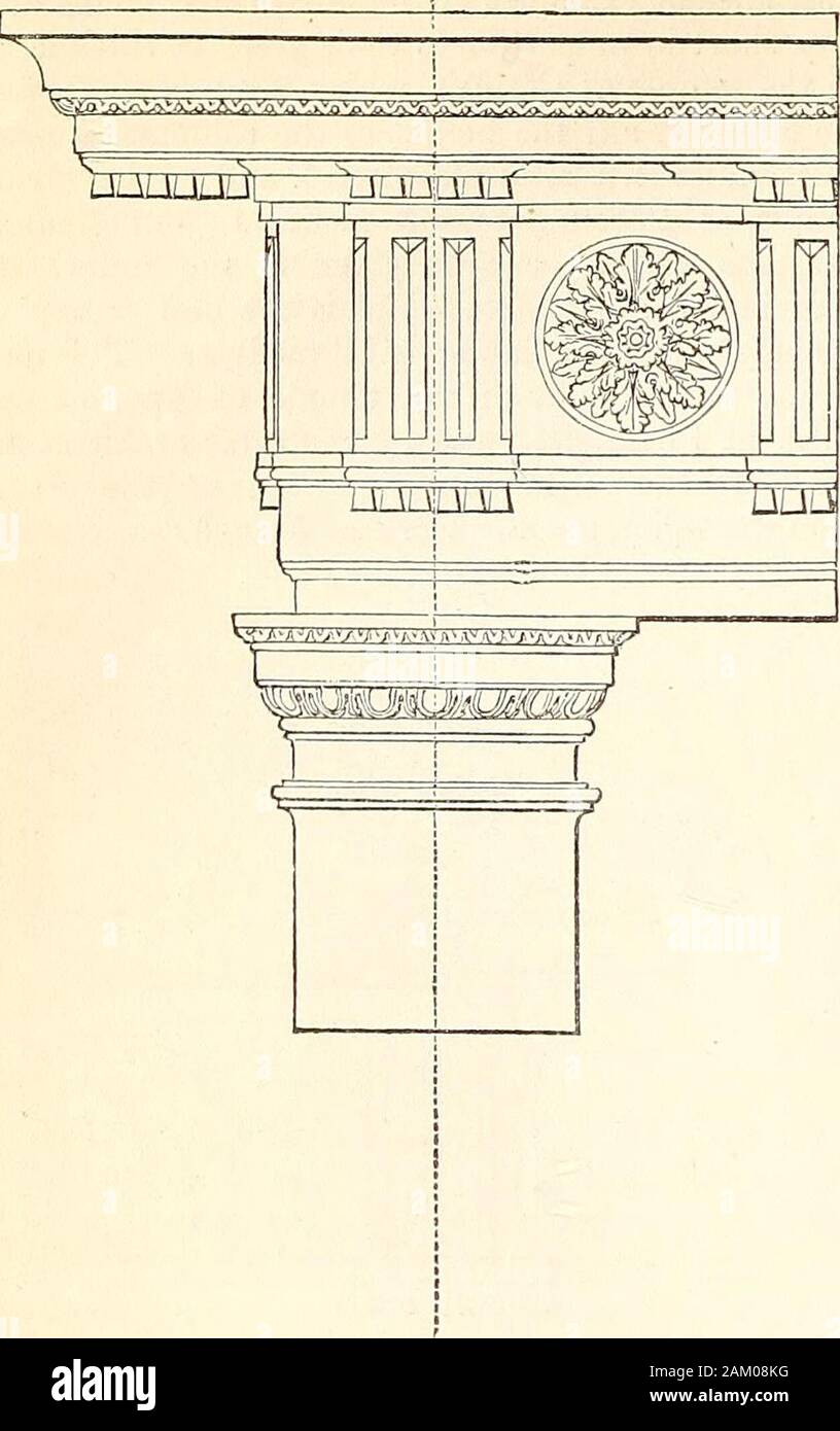 Un dictionnaire des Antiquités grecques et romaines.. . Les architectes romains fait des diffé-ations dans l'ordre, dont le détail est shownin la gravure de la page suivante, d'une ex-amplement à Albano, près de Rome. Dans les exemples plus tard le Roman Doric, une base est donnée à la colonne. II. L'ordre ionique est le plus distinguishedby grâce simple comme le Doric par majesticstrength. La colonne est beaucoup plus slenderthan le Doric, ayant, dans le plus ancien connu ex-ample, à savoir, le temple d'Artémis à Éphèse, une hauteur de 16 modules, qui a été par la suite en-pliées pour 18. L'arbre repose Banque D'Images