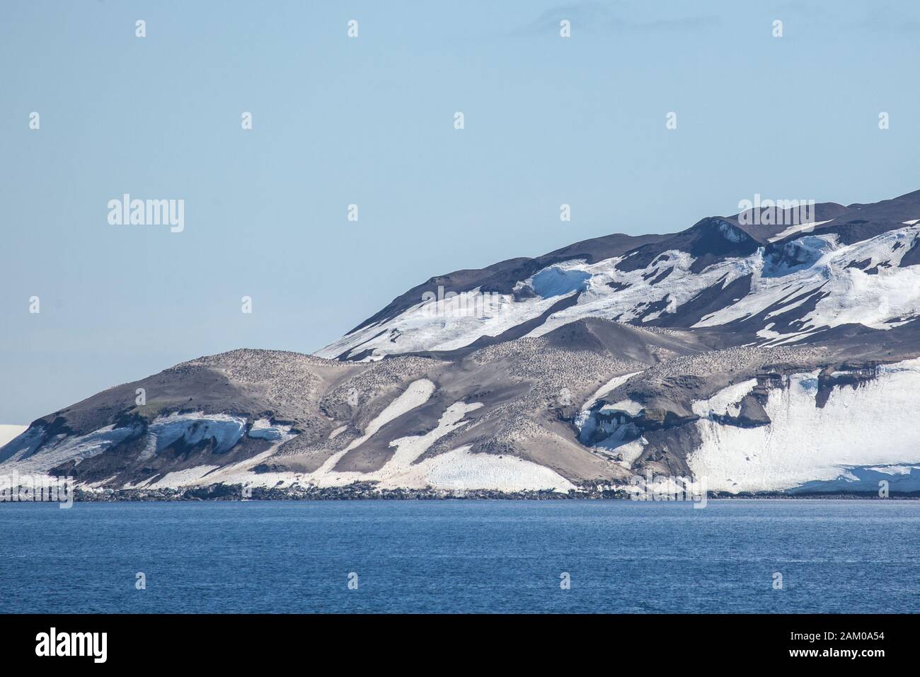 Bailey Head gentoo Penguin colonie vue de la mer, Deception Island, South Shetland Islands, Antarctique Banque D'Images