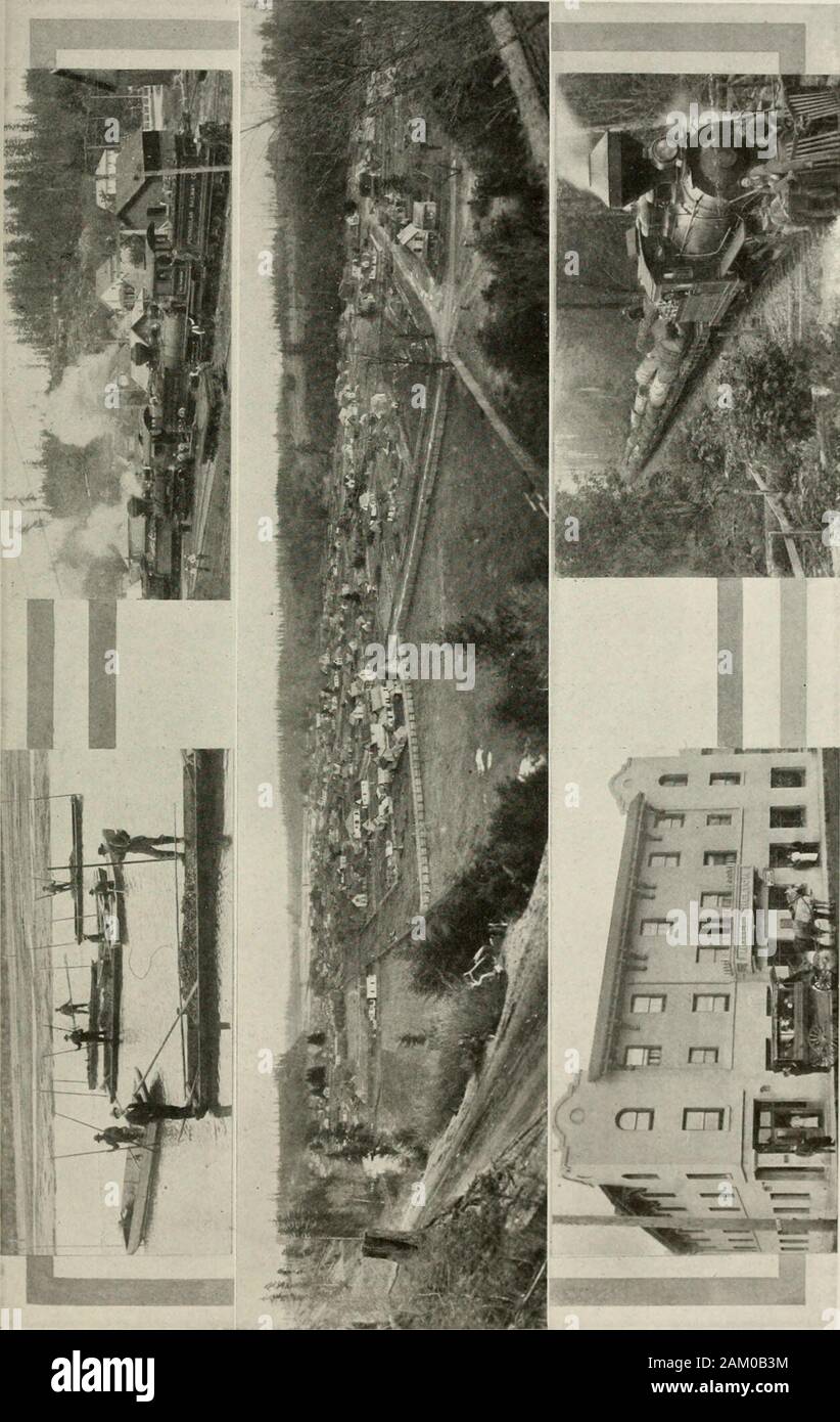 Puget Sound et l'ouest de l'État de Washington ; villes--communes--scenery . 00La valeur de consigne. Les districts de capacités dans l'industrie laitière et afruit façon sont démontré par fait qu'à Shelton il y a à la fois un peut-nery et une crémerie, la propriété de theMason County Fruit Growers Association, les actionnaires étant les agriculteurs de thecounty et les marchands de la ville. Thecreamery a une production annuelle de 40 000 $.La conserverie, qui a fait ses preuves, highlyprofitable packs de 3 000 cas par an, princi-pally pruneaux, pommes, poires, haricots, petits fruits noirs et de framboise. Lake Cushman est une station estivale dans themountains célèbre f Banque D'Images