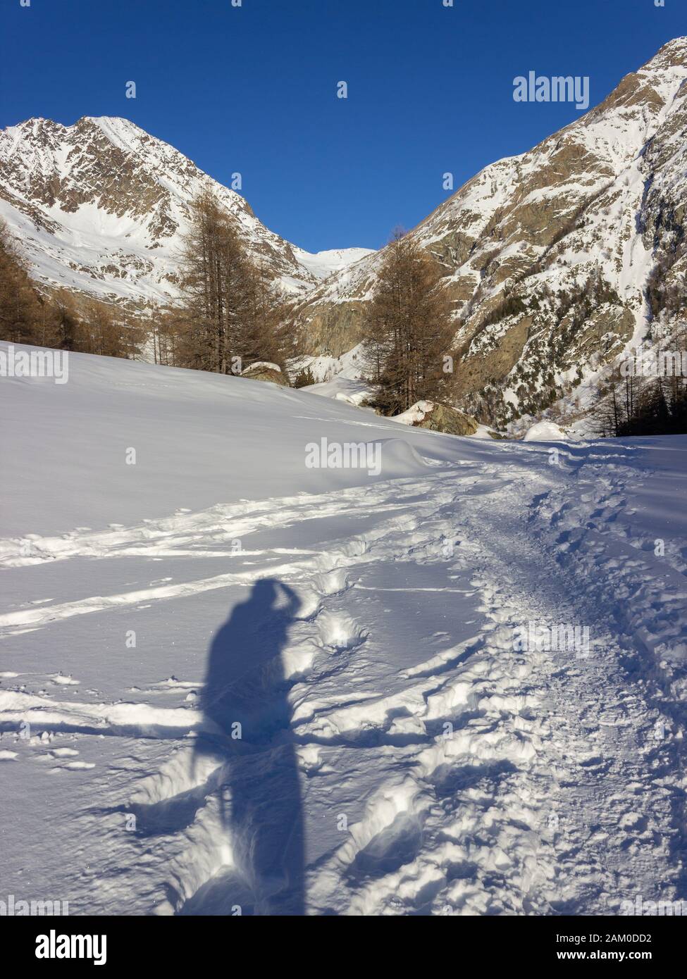 Randonnée d'hiver dans la vallée d'Aoste, Cogne, Italie. Marche dans la vallée du Grauson. Mon ombre sur la neige. Banque D'Images