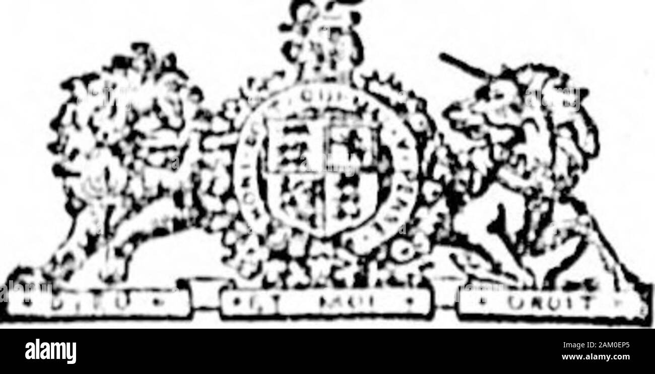 Daily Colonist (1891-11-04) . TUBE. Lundi 9 novembre, à 2 h. Iartieulurs iiilvcrtisements à l'avenir. OHAS. GREEN & CO., 46 YATES ST. Non. Vente aux enchères DE LOTS DANS VANCOPEHCITY Um précieux Je suis Instrueted ChiefCommissioner hy tho l'Honorable de Ijaiids et travaille, de soli byPublic Vente aux enchères, le samedi, 21 novembre, à 14 heures dans ma chambre, 408, rue Hastings 1, 2, 3, 4, 5 et 6, ACC. I.LUllO 1,2,3,4,5,6,7 (St 8, BIk.VI. Comme indiqué sur le plan ORlotal tbo ot >Ville de GranvUlo. 1 parlioulnrly atlontion tothis public appel très imiiorLant havingri hiIo, tho beaucoup. Iriiiitaur, Anil être strict, Banque D'Images