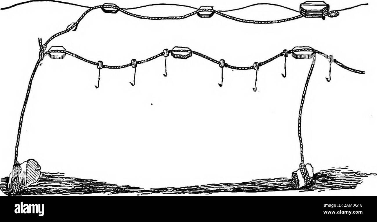 La mer-pêcheur : comprenant les principaux moyens de l'hameçon et à la ligne de pêche dans les Britanniques et d'autres mers, et des remarques sur les filets, bateaux, et boatingProfusely illustrée de gravures sur bois sur les leads, hameçons, filets et bateaux, etc., et des descriptions détaillées de la même . o sortir les Kinks, avoir des morceaux de liège 4 incheslong par 2 large fixé à plat sur la ligne, à des intervalles de 2 brasses,et à mi-chemin entre les espaces des bouchons de bonde 2 pouces à travers,ennuyer par le centre, et le tour de ré le trot flottant. 97 recevoir un 3-pied morceau de cheval stout-ligne de cheveux, ayant un tuyau-leadat la fin h Banque D'Images