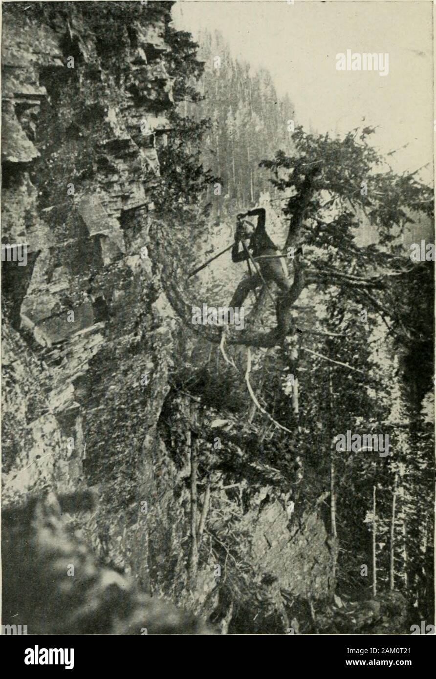 Levés topographiques ; y compris, géographique, d'exploration et de cartographie militaire, avec des notes sur le camping, la chirurgie d'urgence, et la photographie . - SUKVKYING PlATK I. Aux termes de difficultés. Levés topographiques. Y COMPRIS, géographique, cartographie, ANDMILITARY EXPLORATOIRES AVEC DES NOTES SUR LE CAMPING, la chirurgie d'urgence, ANDPHOTOGRAPHY. Par Herbert M. WILSON, géographe, United States Geological Survey ; American Society ofCivil Engineers Membre Autlwrof ; ingénierie d'irrigation etc. Seconde édition, révisée.Premier mille. NEW YORK : JOHX Wiley & Sons. London : CHAPMAN . : HALL, Limitkd. 1905. Copyright, igoo, 1905, Banque D'Images