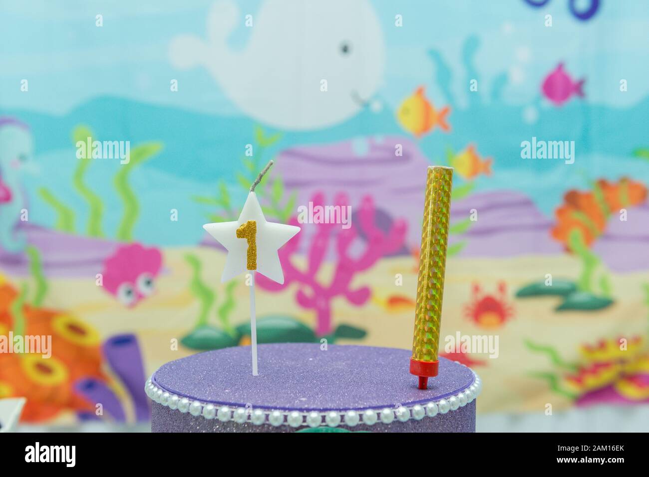 Décoration Animaux De La Mer Pour Baby Shower Fille Ou Garcon