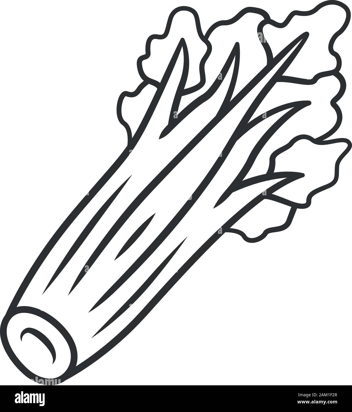 Icône linéaire de céleri. Les feuilles. L'usine de l'agriculture. En salade. Régime alimentaire sain. L'alimentation végétalienne. Ferme maraîchère.Fine ligne illustration. Symbole de contour. Illustration de Vecteur