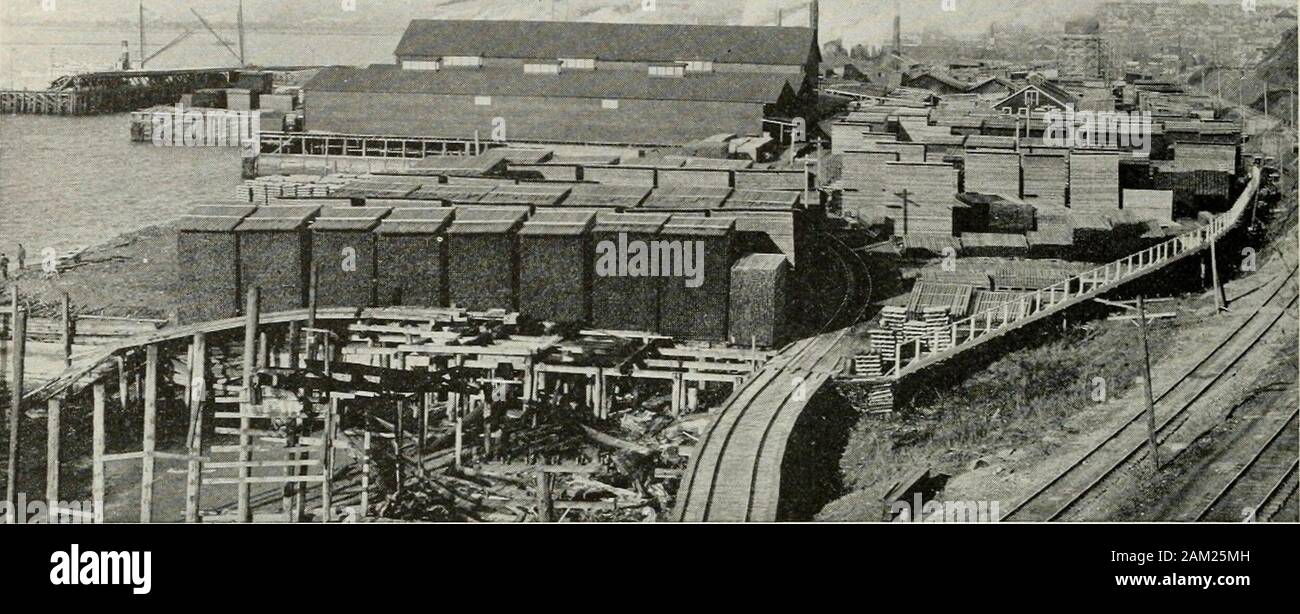 Puget Sound et l'ouest de l'État de Washington ; villes--communes--scenery . CO u &gt ; ^ ^  % o M-- en Z ( ^S/3 Pugei ^^ 92 Sound et de l'ouest de Washington. La SCIERIE WEYERHAEUSER, EN FACE DE L'EAU À EVERETT que le visiteur s'approche de l'atterrissage à l'approche d'Everett par l'eau, il voit le grand stock d'manufacturedlumber ici illustré, prêt à être expédié par rail ou l'eau. A l'arrivée de l'excellent Northern rail-route en 1892. Dans l'intervalle Everett a devenir un grand marché de grumes, l'un des points de bardeaux de sciage et mostimportant à Washington, et mène tous les territoires du citiesin la fabrication de Banque D'Images