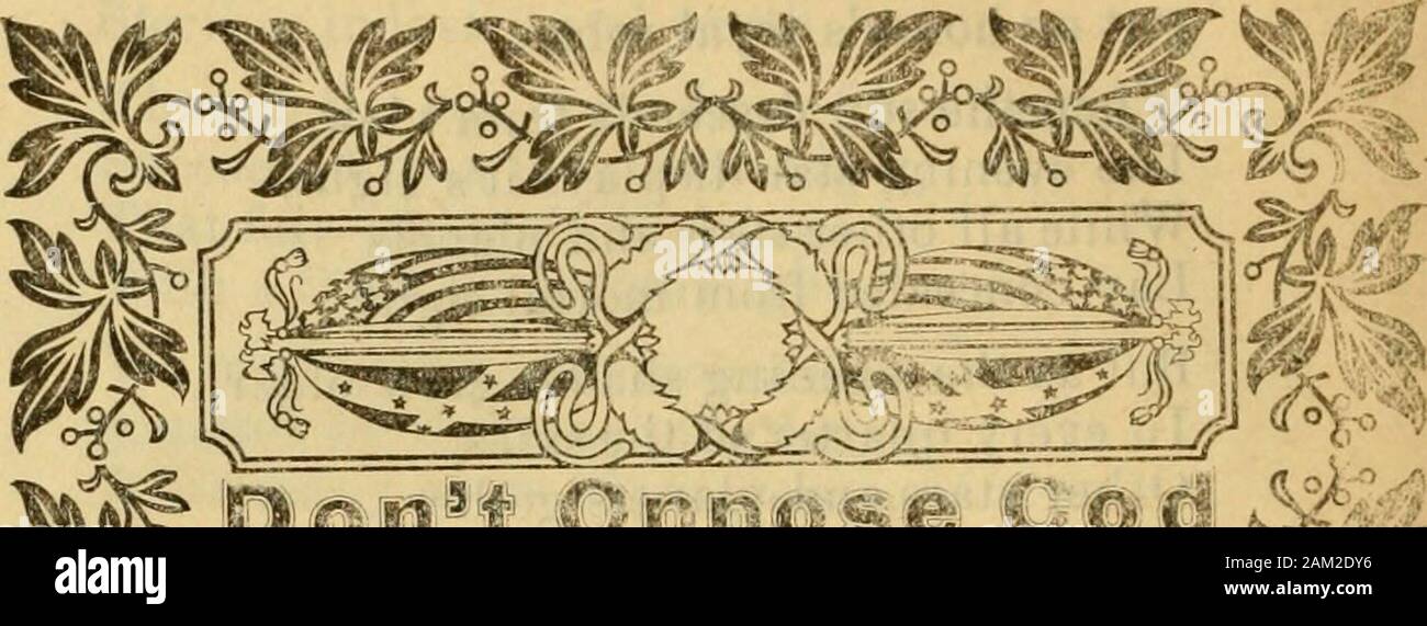 Voute Etoilee Banque D Image Et Photos Alamy