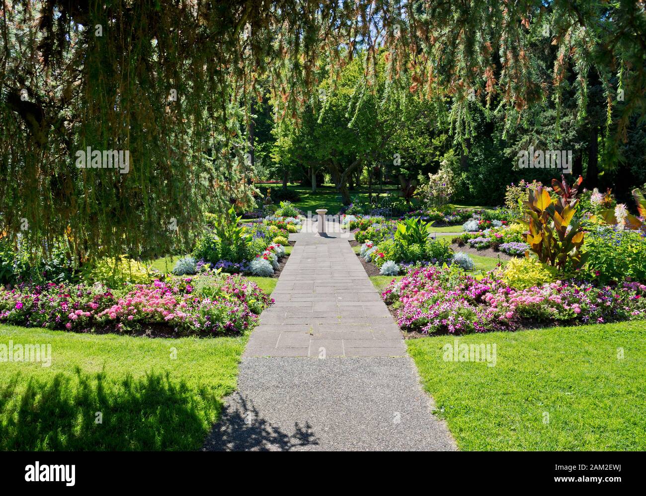 Jardin de fleurs dans le parc Beacon Hill à Victoria, BC, Canada à l'été. Banque D'Images