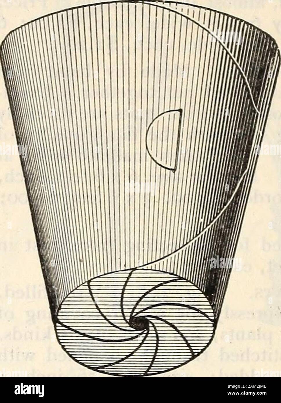 Farquhar's catalogue : printemps 1904 . Des pots. La taille. Douz. 100. Doz 4 x 1 % in., 0,35 2,00 0,20 4  % x 2Vs in., .45 2.65 .30 5V2x2^iin., .60 3.35 .35 614x21/2in., .70 4.00 .45 7 x 2 % in., 0,85 4,65 0,50 8 x 3  % en., 1,20 6,65 0,75 9 x 314 in., 1,45 8,00 x .95IO 4 in., 1,70 9,35 1,20 Les soucoupes. 100.$1.20 1-552 5-356 2-352.00.654,00 -1,65 SEED et l'ampoule des casseroles. NEPONSET. pot de fleurs en papier. Incassable, beau, peu de taille. Par 100. Pour 1000. 2&gt;4 0,25 $ 2,20 $ 2/j'••3 302,40 45 515 3-90 zvA 0,60 4,80 6,90 51,20 10,35 61,65 14,55 pas moins de 1 000 caisses d'origine au taux. Banque D'Images