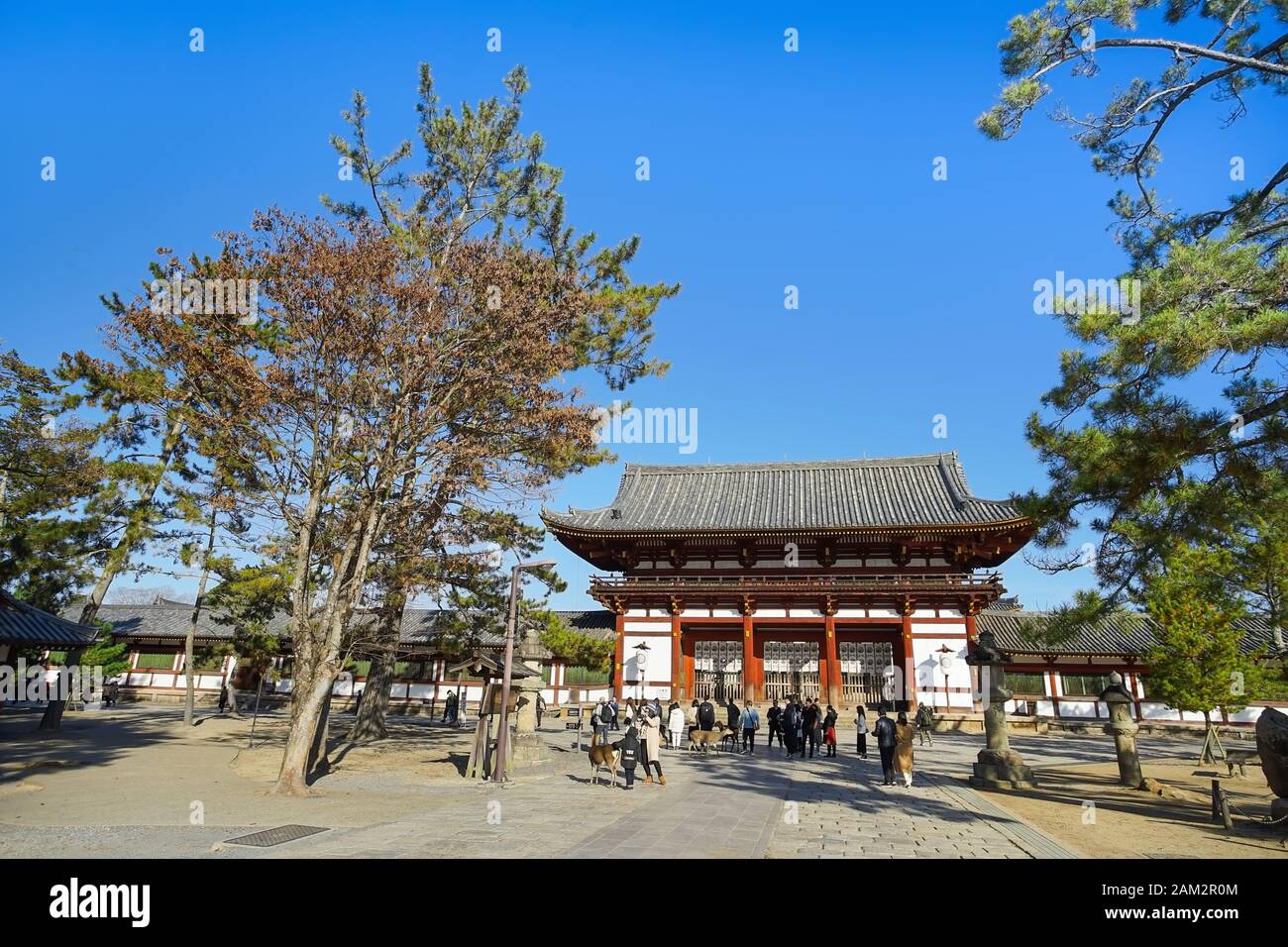 Nara, Japon - 16 décembre 2019 : Belle scène de la deuxième porte en bois Du temple Todaiji, c'est les destinations de voyage les plus célèbres de Nara cit Banque D'Images Nara, Japon - 16 décembre 2019 : Belle scène de la deuxième porte en bois Du temple Todaiji, c'est les destinations de voyage les plus célèbres de Nara cit Banque D'Images
