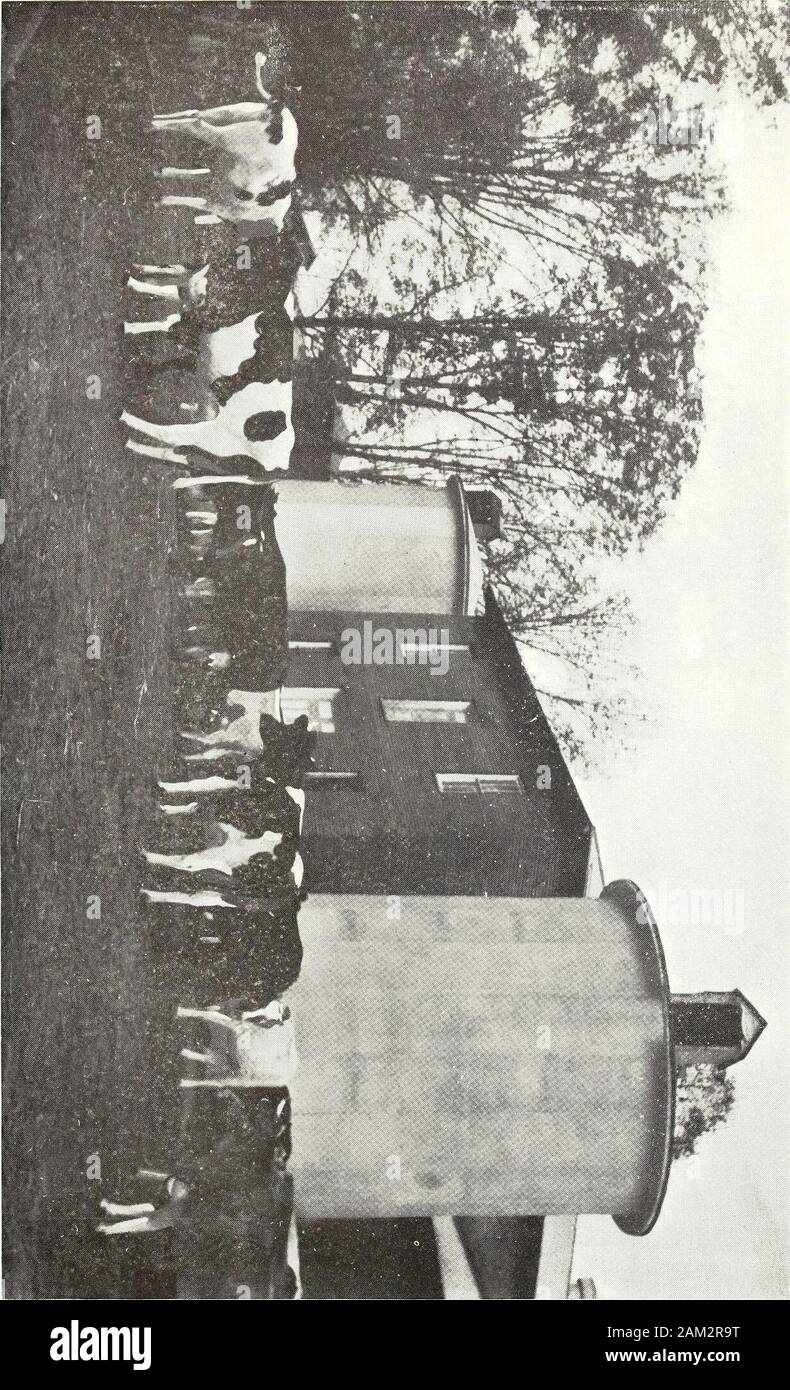 Rapport du Conseil d'administration et directeur de l'Hôpital d'Etat, Raleigh, N.C. . n de l'épuisement chronique mania de démence sénile 10 Tuberculose pulmonaire 9 2 Néphrite interstitielle chronique Maladie cardiaque organique de l'épuisement de la congestion pulmonaire hypostatique de l'épuisement de l'épilepsie 11 pneumonie lobaire aiguë 4 5 diarrhée dysenterie subaiguë de l'épuisement de cancer de l'utérus après l'épuisement de la maladie rénale Cardio excitation catatonique 3 intracapular l'épuisement du fémur fracture 1 l'angine de poitrine 1 néphrite parenchymateuse Épuisement de melancholia 2 3 leptomeningitis subaiguë 2 Su Banque D'Images