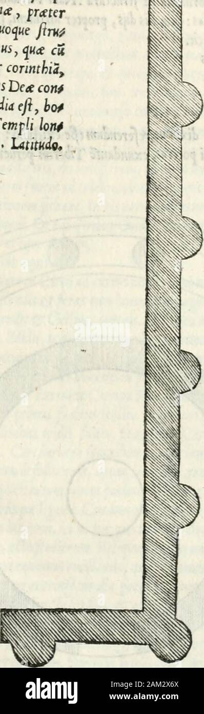 Vrbis Romae topographia . tiherim fompfcurium ad lunium uocant . Uidm Vti^Lunim adlanum,pro annonce kgunt tmininommhus coduih mcrainey cit :^fcriftumfu,ad Lumu.Vni&gt;de pt ut credam annonce uniliforum,[efse dicium,eo fa^^uoforum£io (^Cuj edmis*d Lcrmta^^elUtu aj im^K/fVar. D. ixreMan^etegyftiac (£ hodie facra^lortunceVirili olim, tum uero, temj^^inte pewe lu, nunc excat etim grum.De eo Diony.fic ait.Duohus^^tej iis extru lis lor^- tunce.altero in foro Boa^rto : altero annonce rifas libe^^uaaffeUmtVirdc, ris.Er (jiian^ua de hoc uan&lt;eopniones, junt)ta^menjum fententufro nmo hato auCtore »^tuei. Dans hoctemj^lofuitStatua Banque D'Images