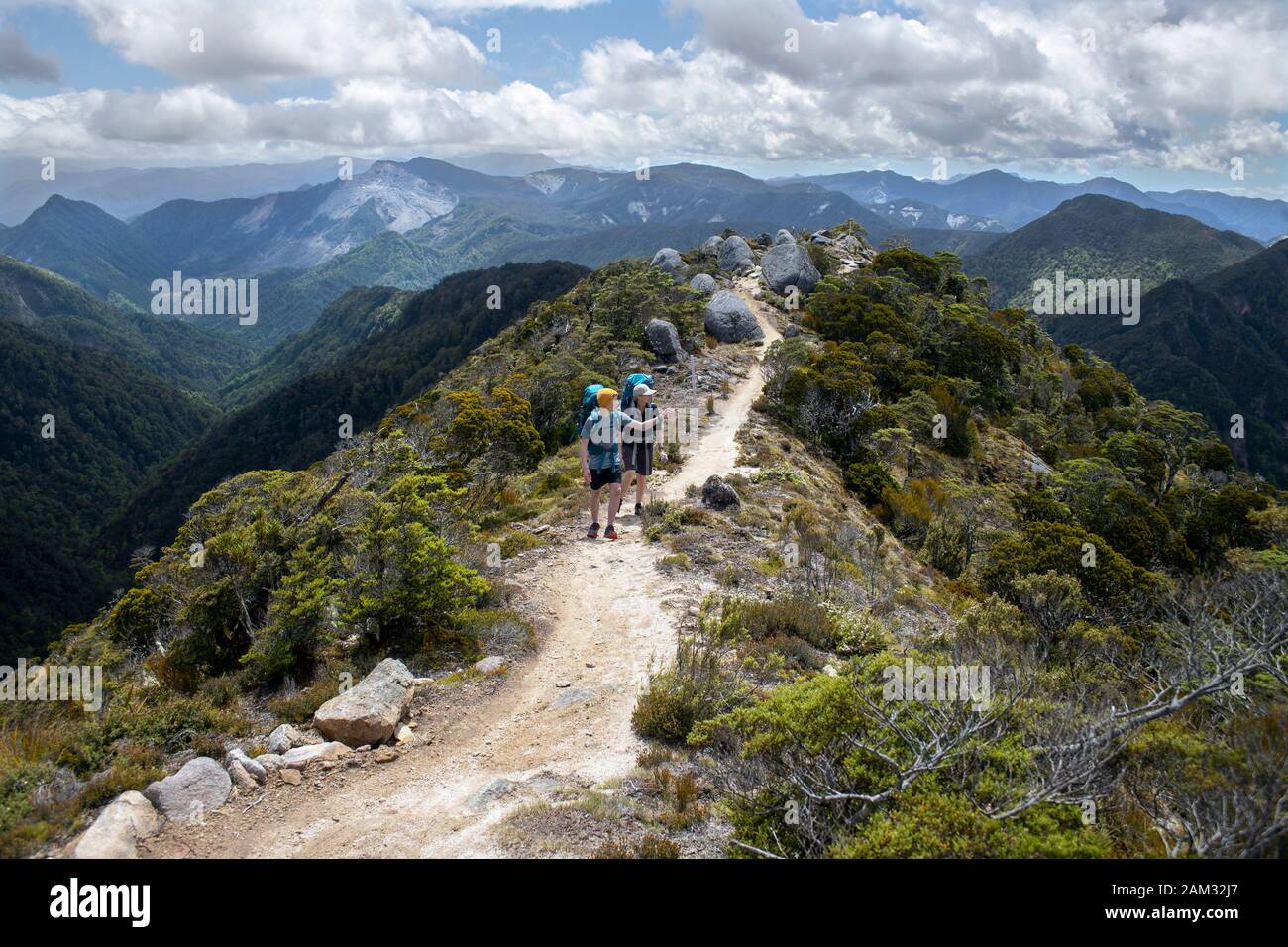 Marchez sur le sentier Old Ghost Road, de Lyell à Sedonville, en Nouvelle-Zélande. Sur Skyline Ridge Banque D'Images