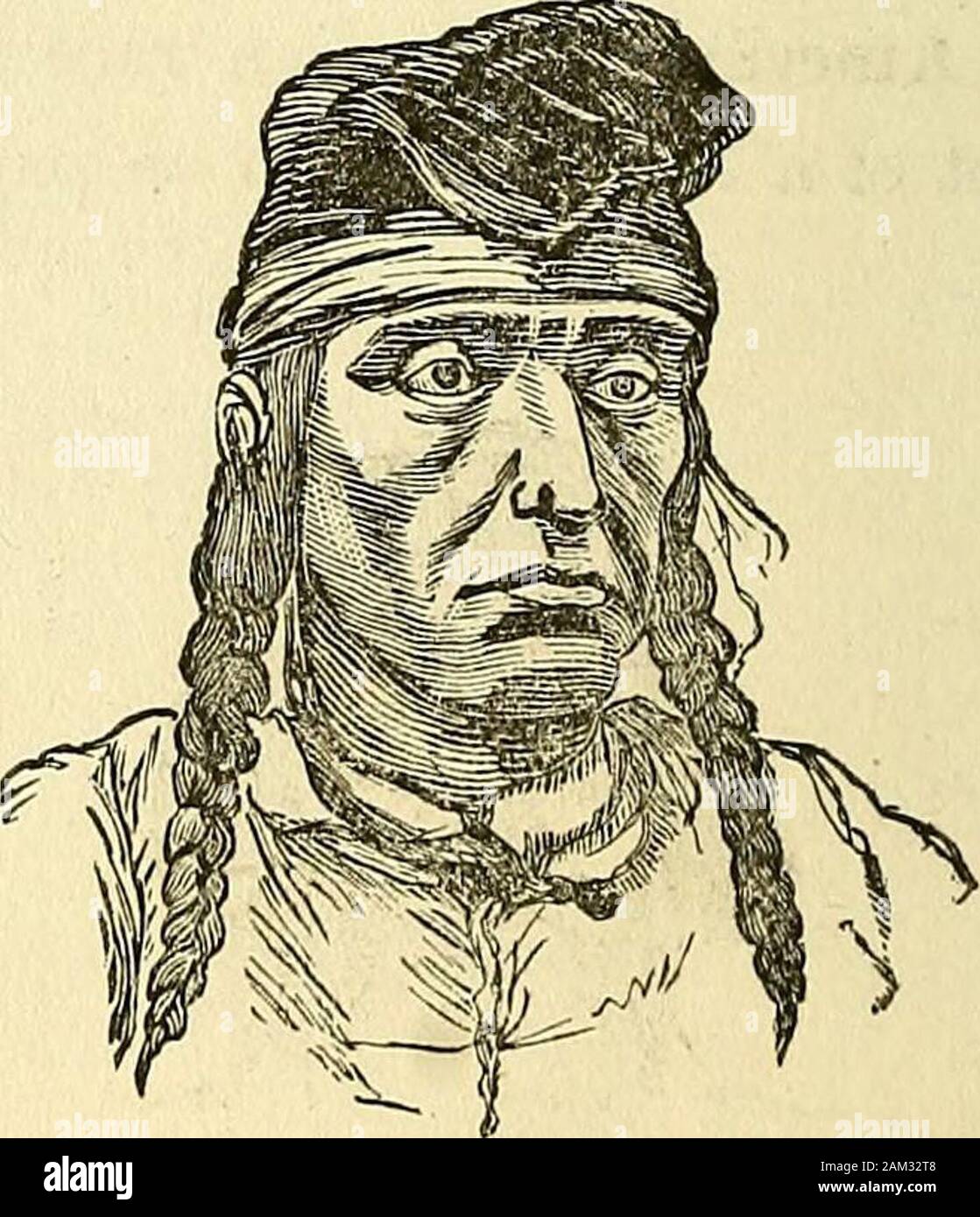Les révélations de la nature de caractère ; ou illustratedA physionomie, description du mental, moral et de disposition volitive de l'humanité, tel que manifesté dans la forme humaine et regard . Un nortli Quatsino, du westem-coastof l'île de Vancouver. Couper le nez, un Indien, meurtrière du Minnesota. Les Français et le scotch, aurait jailli de la Banque D'Images