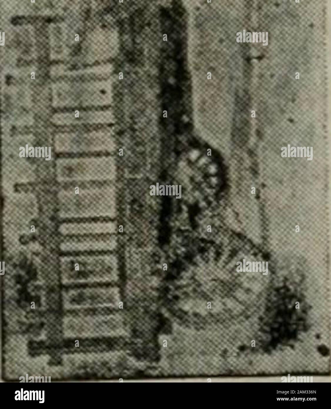 Annuaire Polk-Husted Co. pour Oakland, Berkeley et Alameda directory . •O U) O &lt;0 9p40 0. "4^ (0hi M u ^ u &lt;09 H Z o S "4 S u • fM &lt;o s U(h. p. N. Hanrahan S-""&Lt ;^ LA LIQUEUR DE GROS téléphones 247 CONCESSIONNAIRE accueila4247 1488 CliASSIFrED Heal Estate. Immobilier » 2 une suite. Investissement FIABLE CO, 968 Broadway.Reinhardt, Jos 641 46th.Rhoda Albert, 3225 Hopkins.Richards A E, 111 av.Ricklev Carnet d'San J W, 534 Merrimac.Robbins Herbert, 3980 Piémont av.Robinson W I, 1016.Bway Roblito Rubber Plantation Co, 102 Bacon bldg.Rogers A L, 1264.Bway Rosenheim P H, 97 Bacon bldg.Roseville Heig Banque D'Images