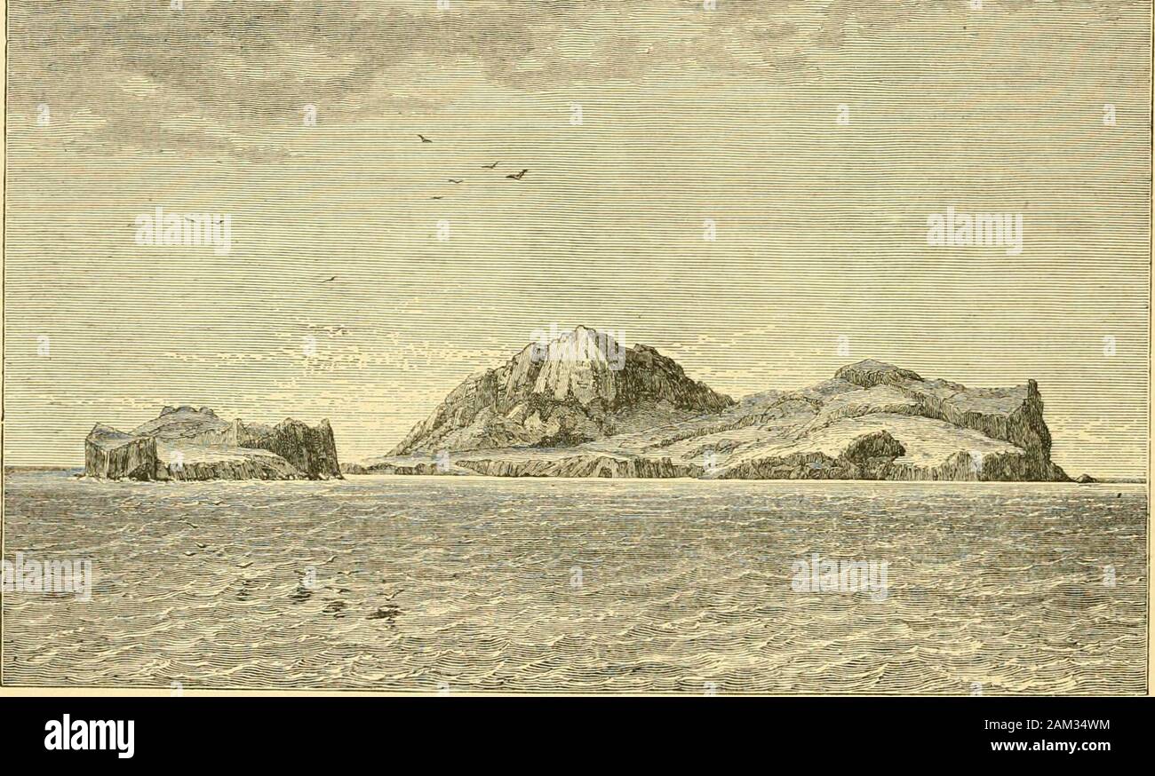 Rapport sur les résultats scientifiques du voyage de H.M.SChallenger pendant les années 1873-76 : sous le commandement du capitaine George SNares, R.N., F.R.Sand Le Capitaine Frank Turle Thomson, R.N. . E quarts de mille vaste.1 Un canal dix milles de large, et plus de 465 brasses de profondeur, 1 à l'histoire naturelle des tliia petit groupe, voir Thomson, l'Atlantique, vol. i. p. 185 (avec une carte) ; Moseley,Note d'un naturaliste sur le Challenger, p. 126 ; Karr. Chall. Exp., vol. i., pp. 262 et suiv. pour sa géologie, seeBuchanan, Proc. Roy. Soc, vol. xxiv. pp. 614, 615. (PHYS. CHEM. CHALL. EXP.-LA PARTIE VII.-1889.) 12 90 L Banque D'Images