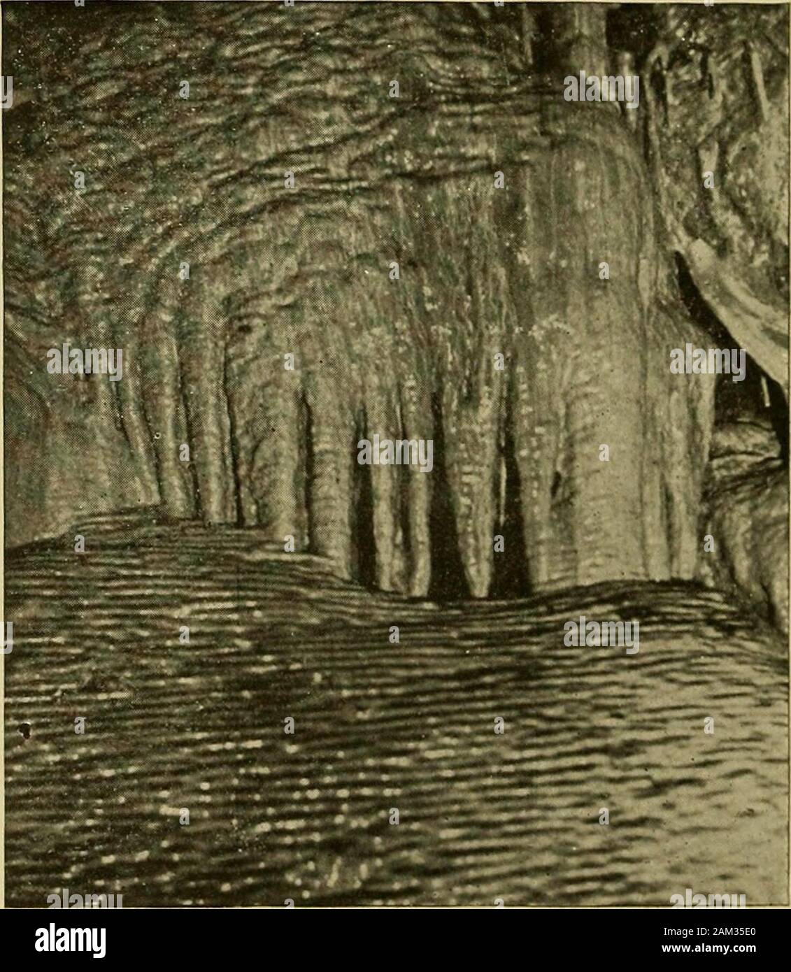 Régions grotte of the Ozarks et Black Hills . ^ à cele-brate sa découverte de l'artiste. compétences noble Quitter cette chambre que nous re-enter ^MillinersAvenue et bientôt traverser le pont à partir de laquelle, il y a quelques heures, wedecendedinto levelby le huitième moyen de jardin du château ; et maintenant le retour à la surface est par la route suivie, avant d'y arriver enfin andwe terriblement las, mais bien plus heureux.. Haut de page 155.Glacier.^ CHAPITRE XII. Conclusion WIND CAVE,JARDIN D'EDEN, LE GLACIER, ET LE PALAIS DE GLACE. Il y a encore une autre longue et charmante traitdu billet ouvert à ceux qui ont, il sufficientlysteady Banque D'Images