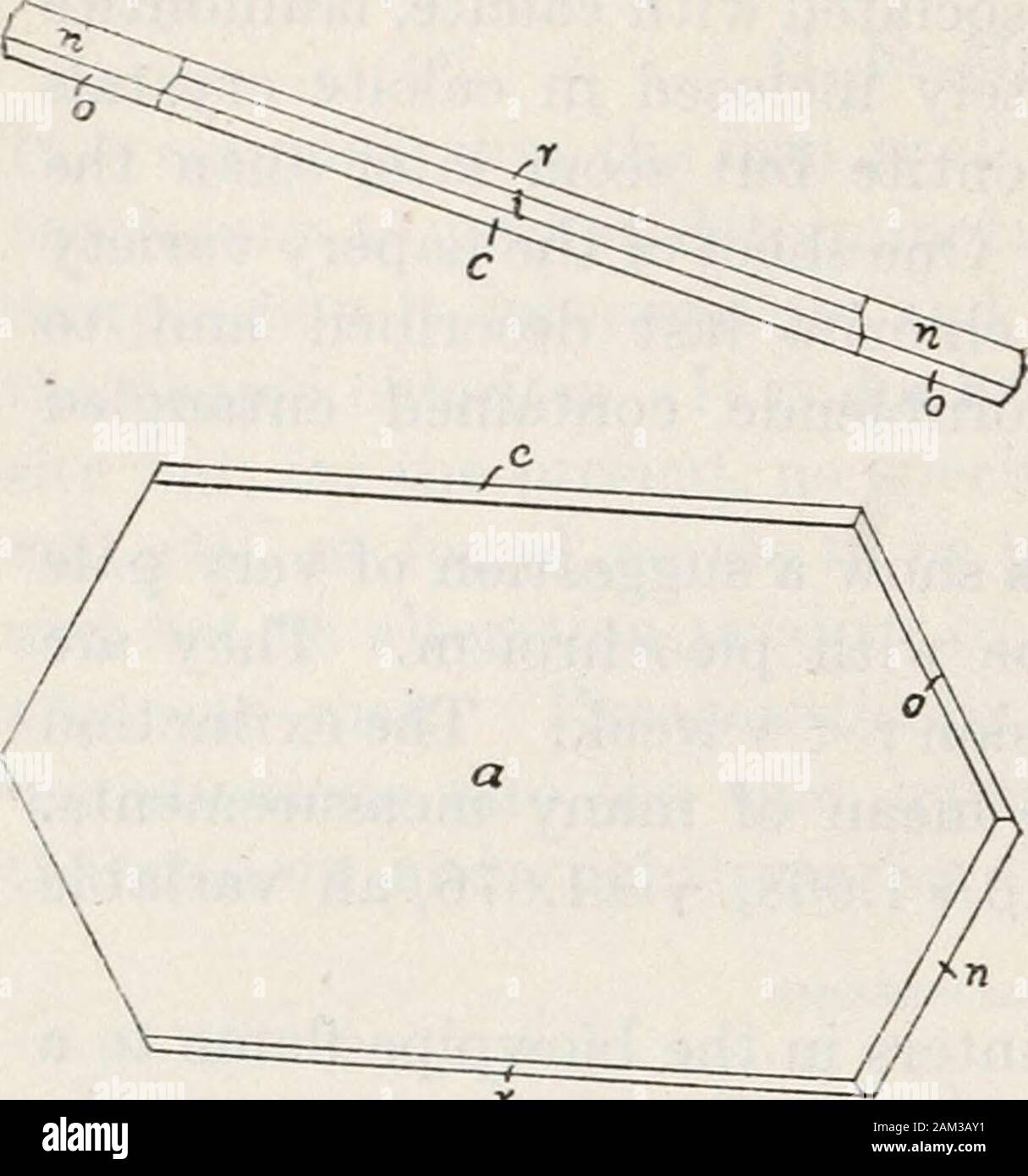 Compte rendu de l'United States National Museum . moi-probablement Rev. Dr Spencer de Tarrytown. Cet exemplaire contient de petites touffes de fibres de neige exactement de l'likethose Goose Creek spécimens. Ces cristaux de stilbite withperfect sont entremêlés et plus grands calcites sur une couche de quartz drusy.La base de l'échantillon est grossière, la diabase slickensided augiteof qui est chloritisée. L'slickensides sont enduits d'diabantitevarnish. Sous le microscope, ces fibres montrent une whichreaches biréfringence un maximum en première commande jaune. Ils sont biaxe negativewith 2V, grand plan axial w parallèle Banque D'Images