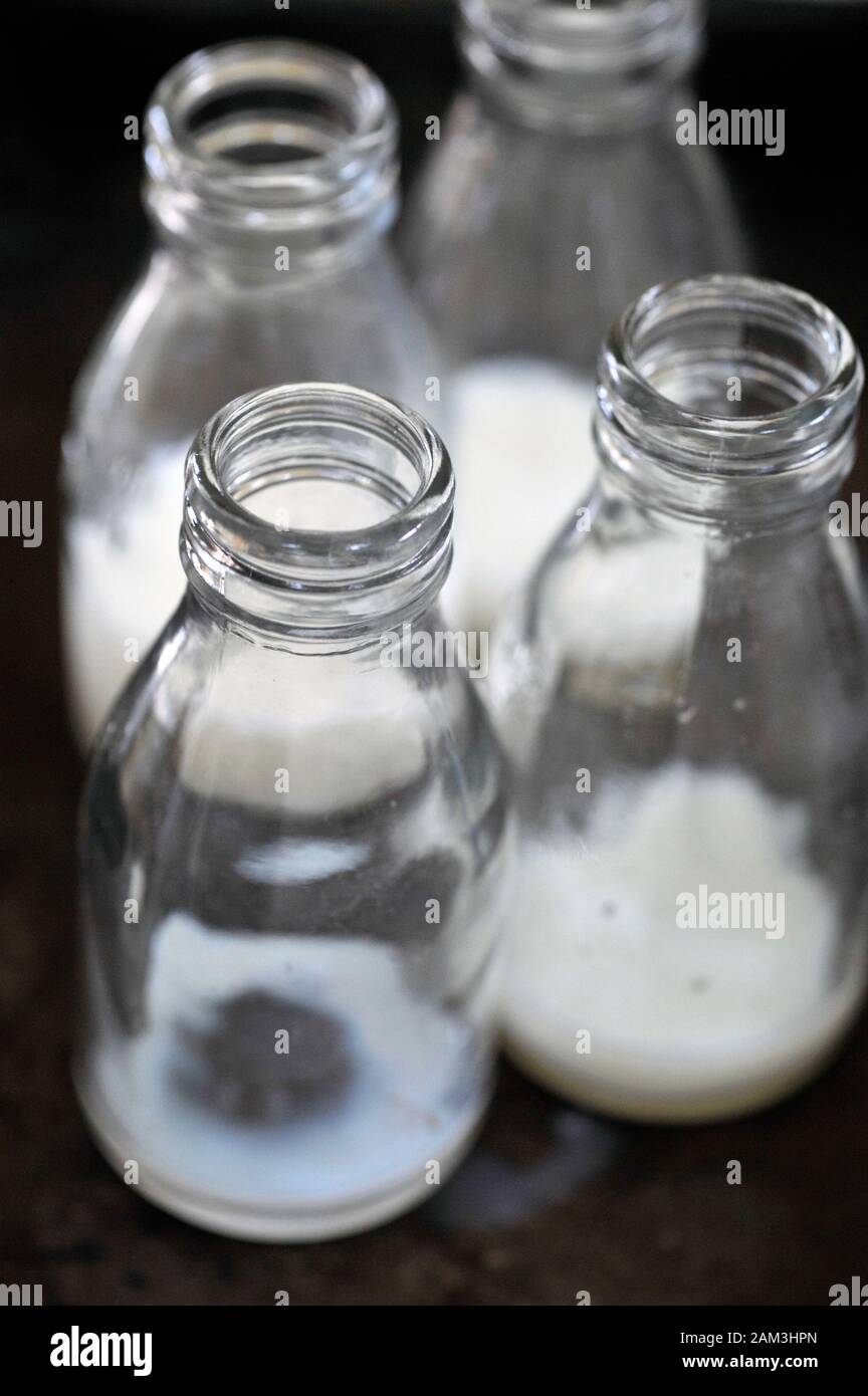 Bouteilles de lait de l'école Banque de photographies et d'images à haute  résolution - Alamy