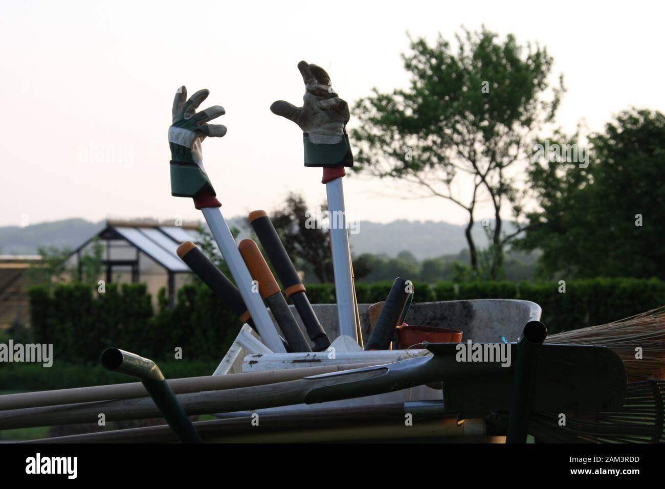 Brouette avec gants de jardinage sur les outils dans le soleil du soir atmosphère proche Banque D'Images