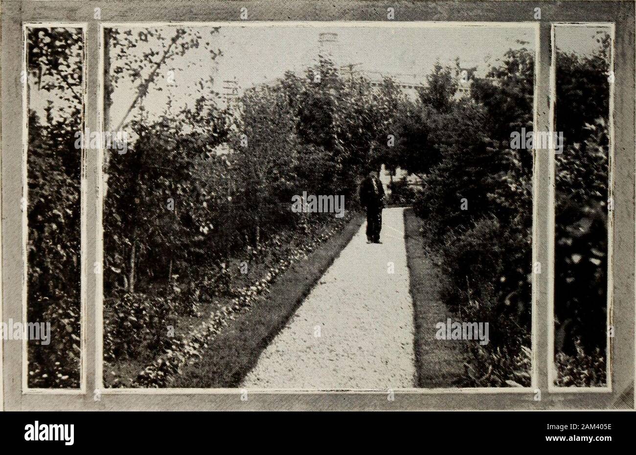 Regina, Saskatchewan, Canada . 71 La façon dont ils Charrue en Saskatchewan pour les importations Reginas Chef theMonth se terminant 31e carte Moteurs et pièces de matériel agricole 47 595,00 152 687,00 $ le battage des produits agricoles, les séparateurs 19 580,00 2 240,00 Divers automobile machines pièces 16 186,00 le fer et l'acier en feuilles. 1 009,00 1 435,00 fournitures électriques de filasse . Brique 2 183,00 4 394,00 15 980,00 épicerie fruits secs , Bottes et chaussures 4 445,00 1 213,00 2 655,00 7 638,00 Matériel Vêtements. Motif à l'Hôtel du Gouvernement, Regina 72 CanadianInvestments la foi dans la comparaison des montants de la Loa Banque D'Images