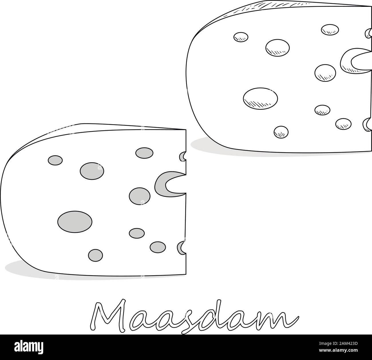 Fromage Maasdam. Vector illustration de fromage maasdam isolé sur fond blanc. Illustration de Vecteur