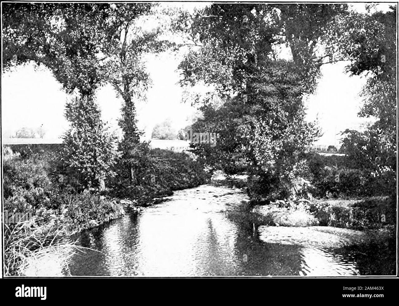 Errances dans le Roman campagna . La TERRE DE Saturne 71. Vallée de l'Albanus Rivus près de Decimo. (À partir d'une photographie par A. Aocliieri) l'obéissance même à eux, les bas coûts d'un shootingHcense purcliased, qui peut être par les paysans les plus pauvres^,ont détruit la vie animale dans la Campagna, sauf dans les réserves de Castel Porziano royal. Rien n'est leftto bnt pousse les oiseaux de passage à l'année donnée de saisons, et même alors, c'est une question de carnage et de-struction, pas de sport. La seule race d'animalswhich semble être en plein essor et qui constitue la seule véritable danger l'explorer a à f Banque D'Images