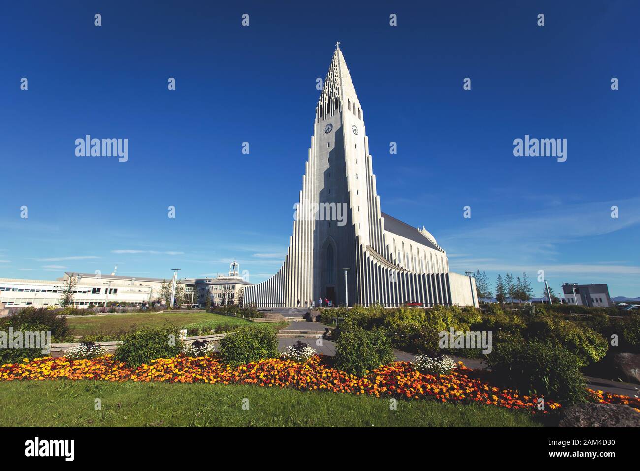 La Cathédrale Hallgrimskirkja à Reykjavik, Islande, luthérienne, l'église paroissiale en extérieur un jour d'été ensoleillé avec un ciel bleu Banque D'Images