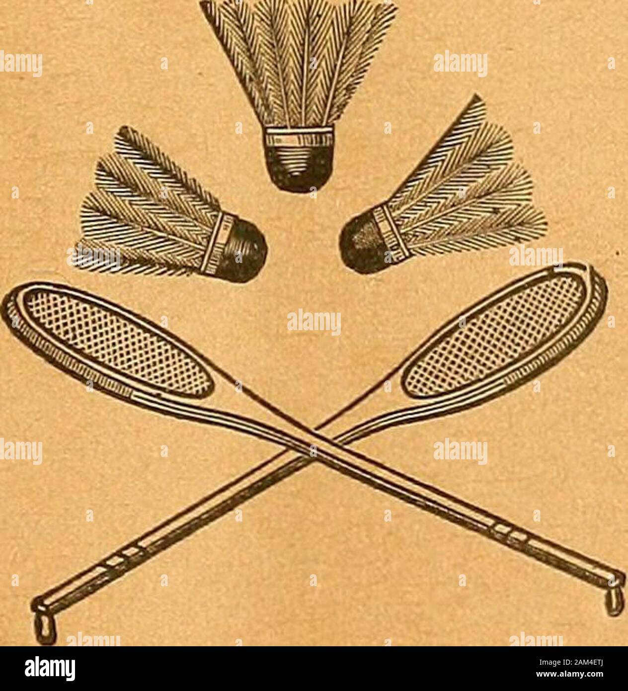 Ensemble de raquette de badminton, The Nerve Athletics 