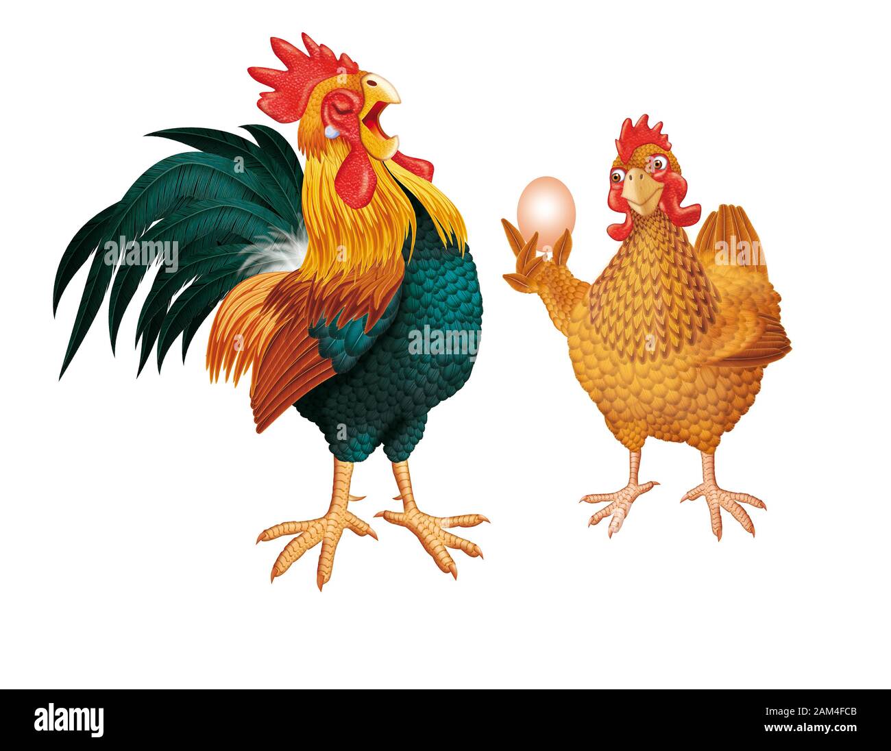 Illustration réaliste de Rooster Hen Banque D'Images