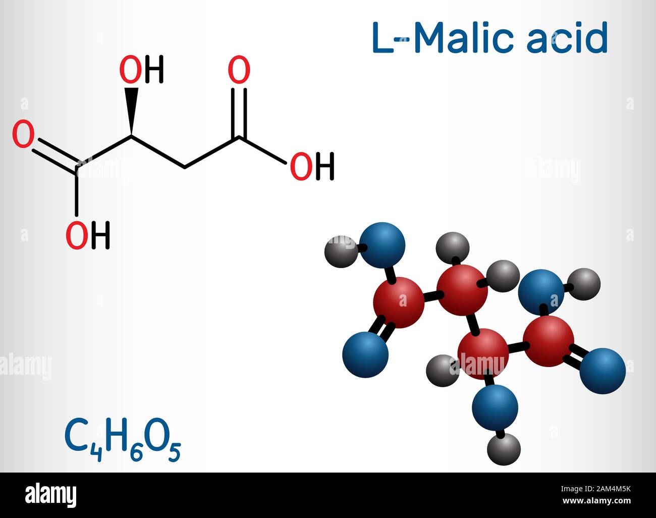 L'acide malique C4H6O5, la molécule est un acide dicarboxylique. Formule chimique structurale et molécule modèle. Vector illustration Illustration de Vecteur