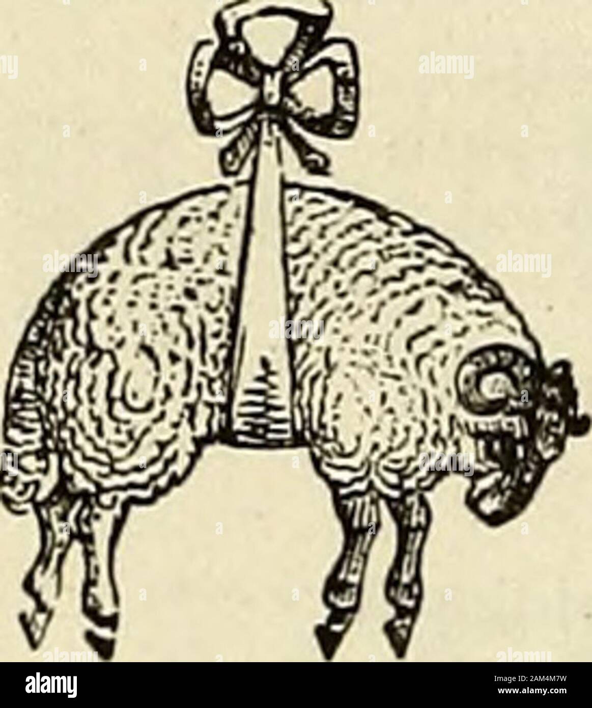 Le livre de l'année d'Arbroath et Fairport almanac : annuaire pour Arbroath, Carnoustie, Friockheim et districts environnants .. . Zabeth O, 11 sud-stSwankie SeagateSwankie, Isabella, 14, Margaret S., 30 SeagateSwanton, Margaret, 11-st Panmure no- 2 Salmond, Annie, 24 Wallace-stScott, Jane, marchand, 9 LadyloanScott, Mary Ann, 4 Ouest Mary-stScott MarketgateShepherd, Matilda, 58, Jane, 8 MarketgateSheriff, Elizabeth, 22 Glover-stSimpson MarketgateSmart, Annie, 58, Ann C., 14 Ouest, GrimsbySmart Betsy, couturière, 27 Glover-stSmart, Catherine W., 26 Millgate-loanSmith, Charlotte, 34 Ann-stSmith, Eliza Banque D'Images