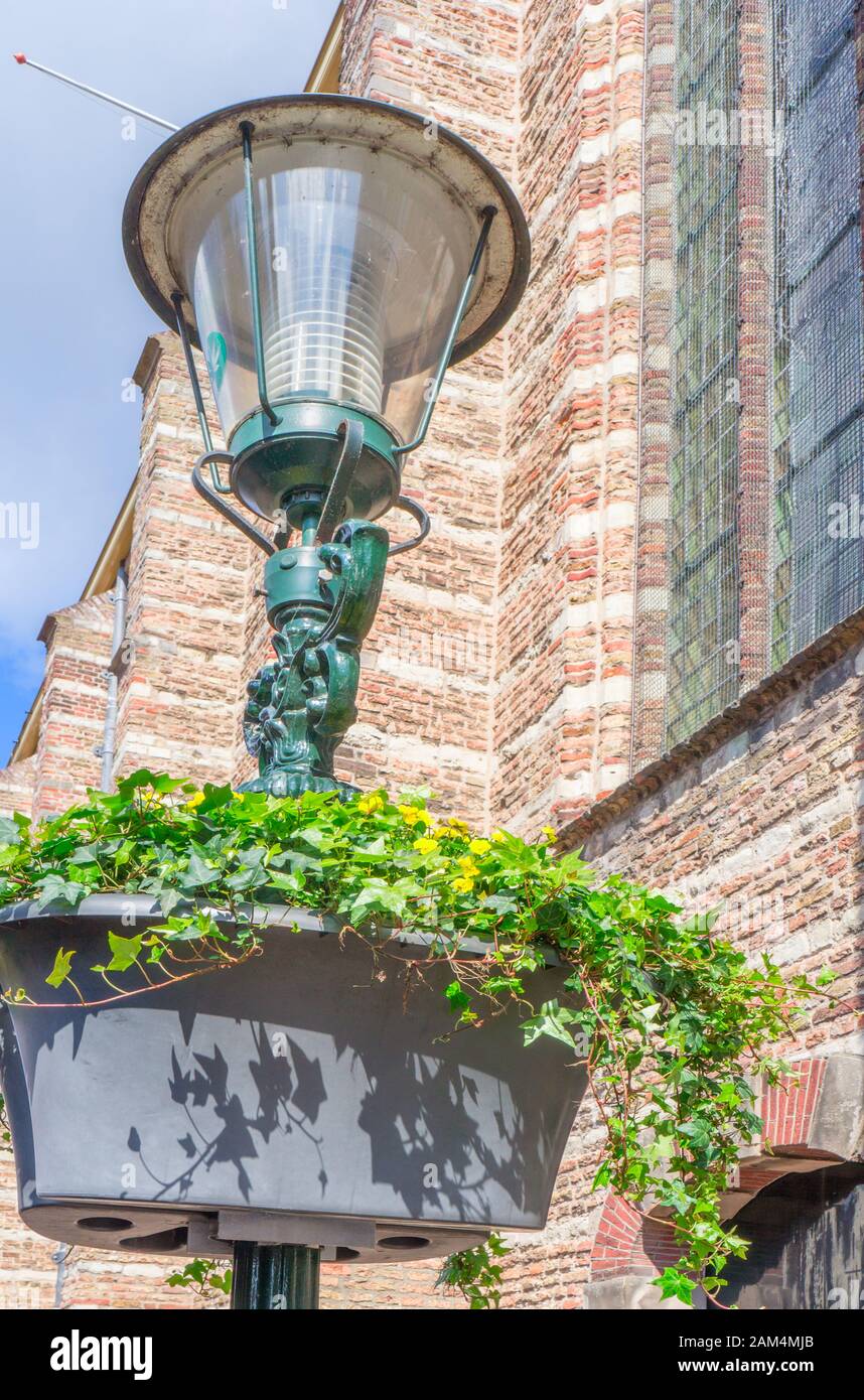 Alkmaar, Pays-Bas - 12 avril 2019 : lampe de rue avec liana décorative. Banque D'Images