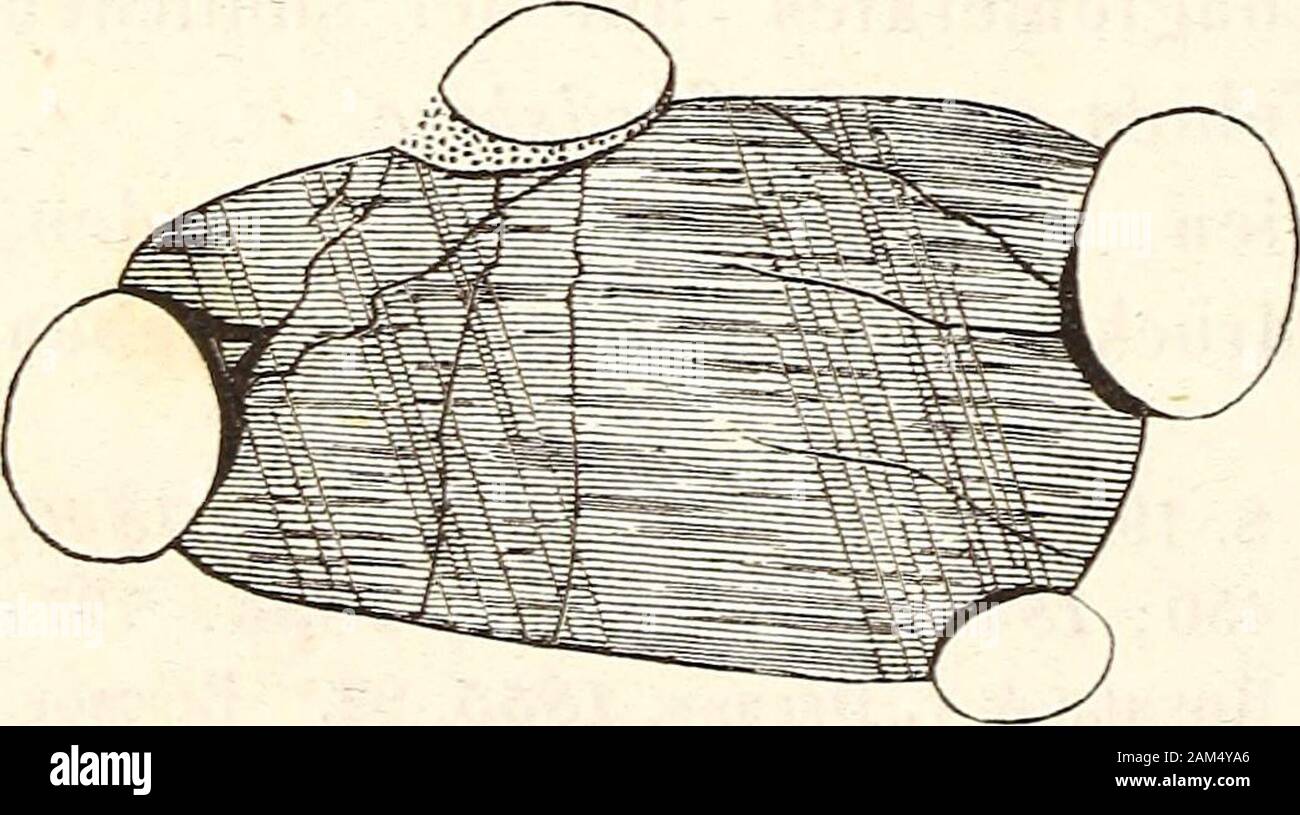 Neues Jahrbuch für Geologie, urbanisation et Paläontologie . iner Forschungen begegnete ich einigen ganz eigentiiüm^ Thatsachen-lichen welche weder durch die bekannte mechanischenoch eiklärbar ; schienen chemische Gesetze zu viel besproclienen diesengehören auch die Eindrücke von Geschie-ben dans Geschieben. Der Güte des Herrn Professor Elim ver-ich danke einige der Nagelflue mitEindrücken Handstücke lehrreiche von St Gallen,. Mit grösster Sorgfalt fertigteich Dünnschliffe einige von microscopische Untersuchungeinige, une Thatsachen zeigte, die wohl geeignet seyn dürften,manche Zweifel hinsich Banque D'Images