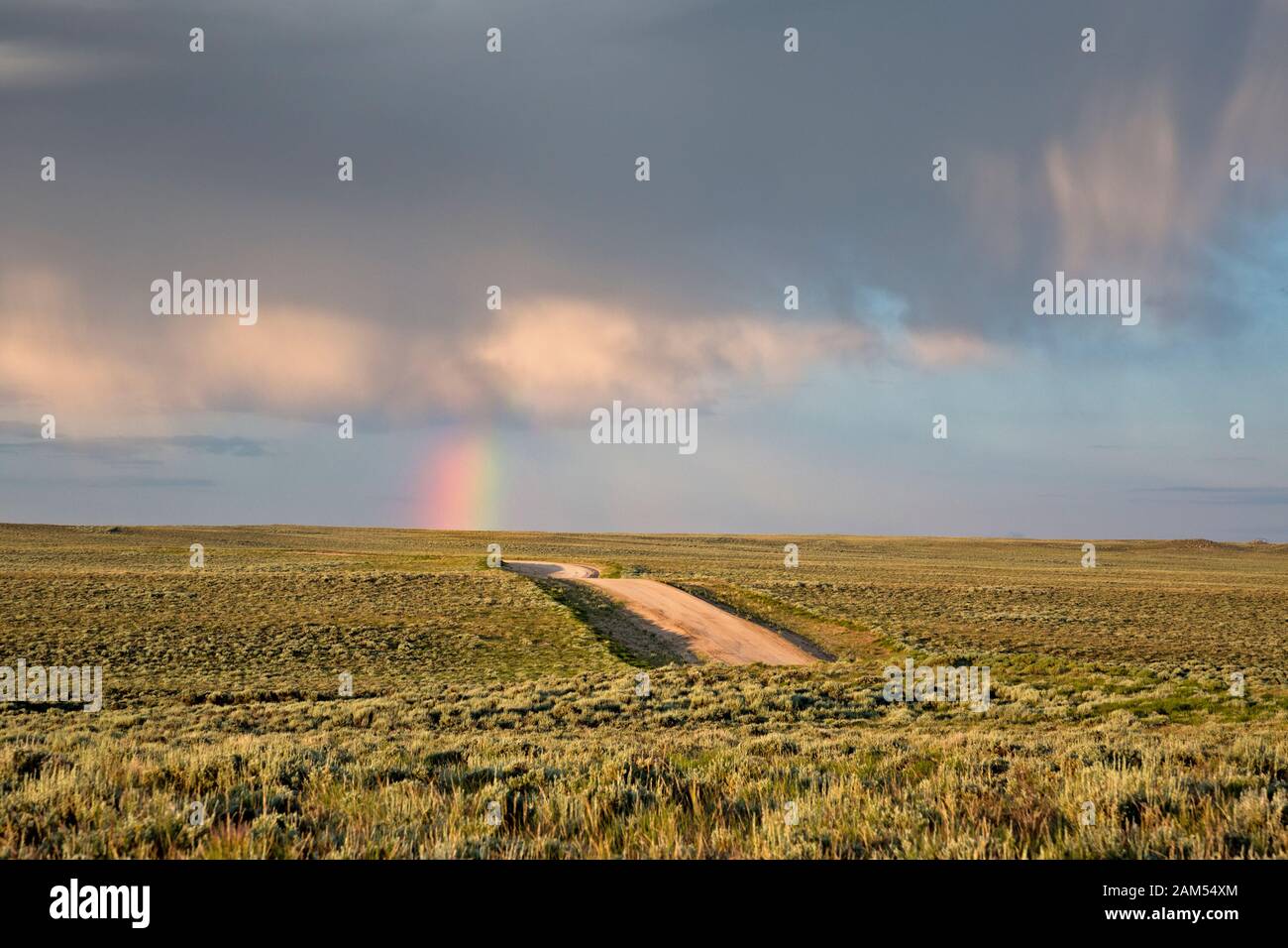 WY03930-00...WYOMING - douche de pluie tôt le matin sur les prairies terres de la Great Divide Basin . Banque D'Images