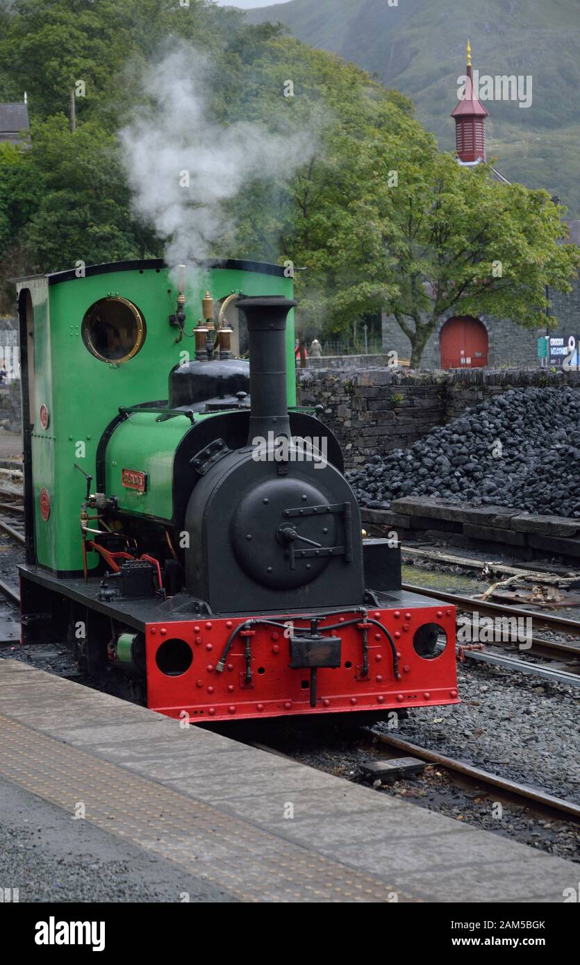 Dolbadarn; petit moteur à vapeur, construit à Leeds par The Hunslet Engine Co. Ltd. N° 1430 - 1922; Llanberis Lake Railway; Pays de Galles; Royaume-Uni; Europe Banque D'Images