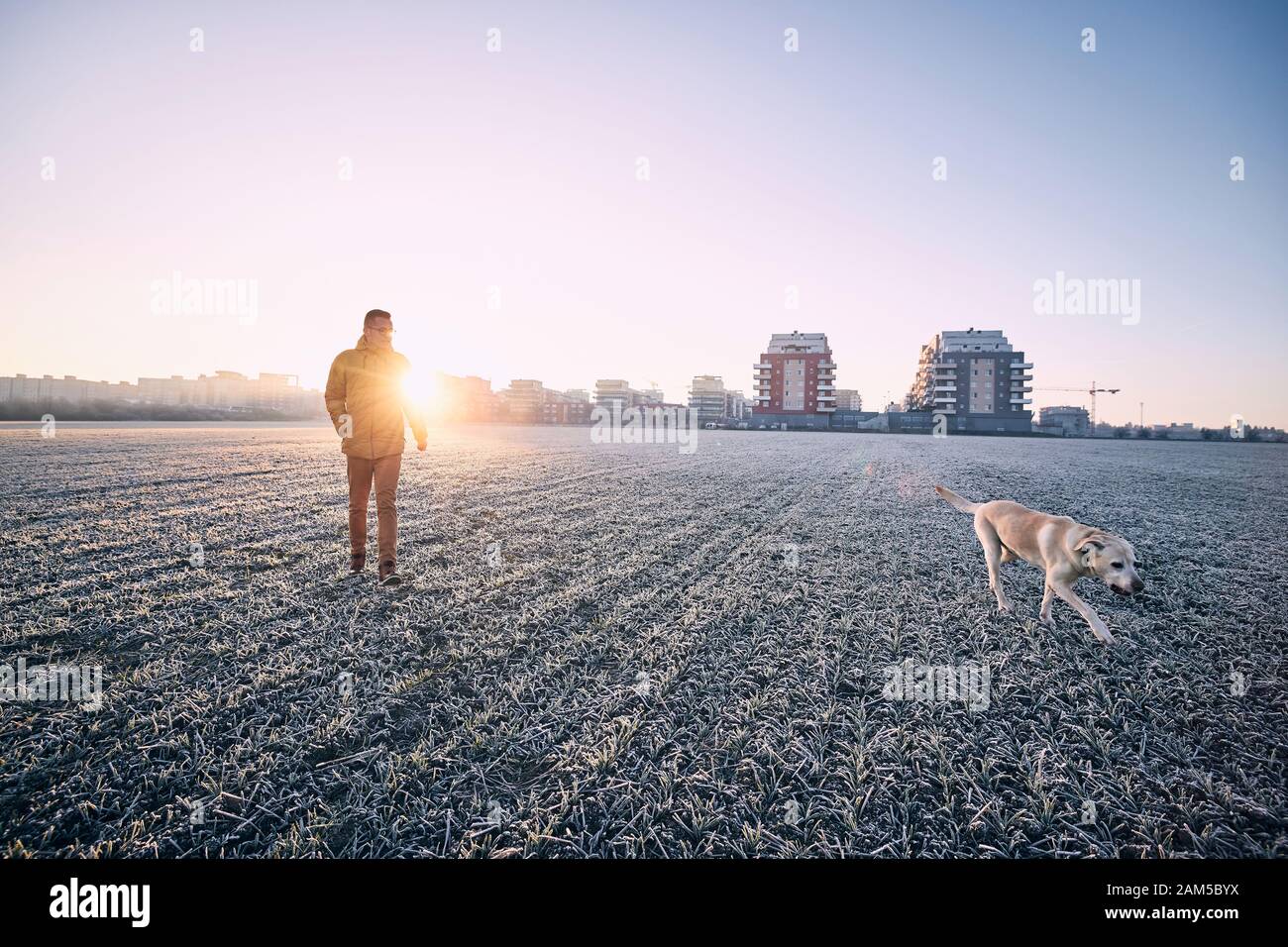 Matin gelé avec chien. Jeune homme marchant avec son Labrador retriever contre le paysage urbain au lever du soleil. Prague, République Tchèque Banque D'Images