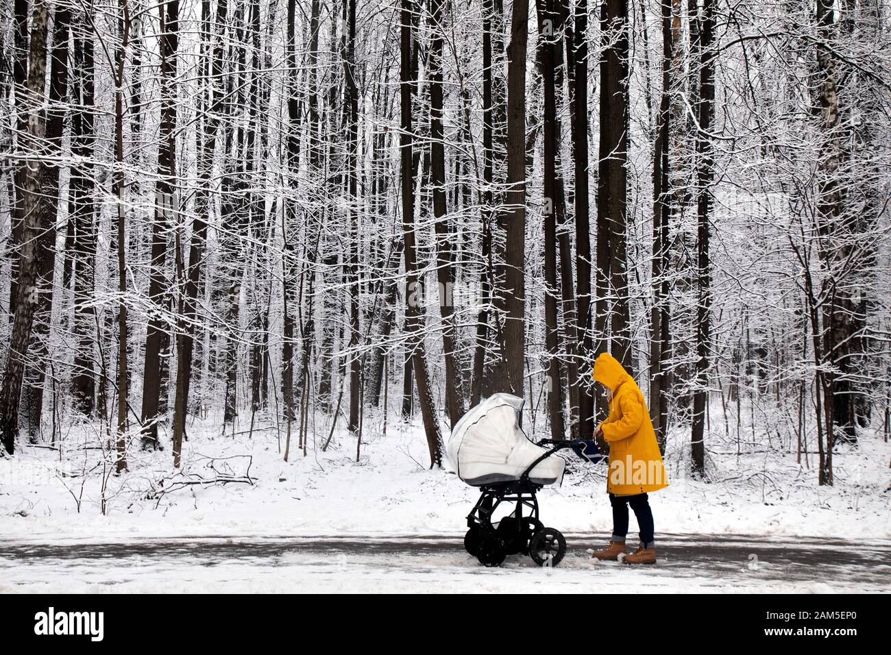 Une femme avec une poussette promenades dans un parc d'hiver à Moscou, Russie Banque D'Images