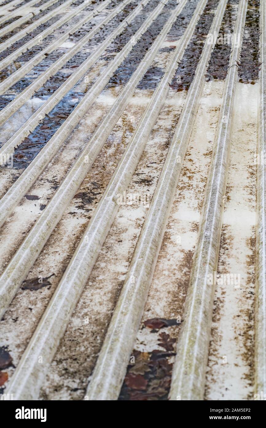 Toit plat en plastique strié avec rotage et décapage de feuilles d'automne / débris. Banque D'Images