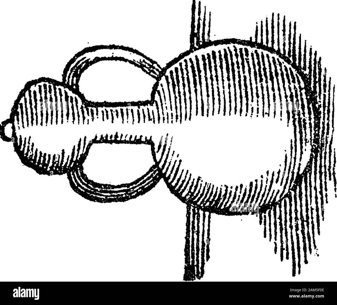 L'Alchimie, l'ancien et du moderne . et a été muchused pour les distillations. Dans le cas présent, toutefois, les alambics sont utilisés conjointement avec appa-ratus pour glace sublimée difficilement volatiles.planche 5, fig. B, montre un autre appareil pour sublima-tion, composé d'une sorte de four, et trois chambres detachableupper, généralement appelé aludels. Dans bothforms d'appareils les vapeurs sont refroidis dans la partie supérieur du navire, et la substance isdeposited sous forme solide, être purifiedfrom ainsi moins d'impuretés volatiles. Planche 6, fig. Un athanor montreun, (ou digérer le fourneau) et un couple Banque D'Images
