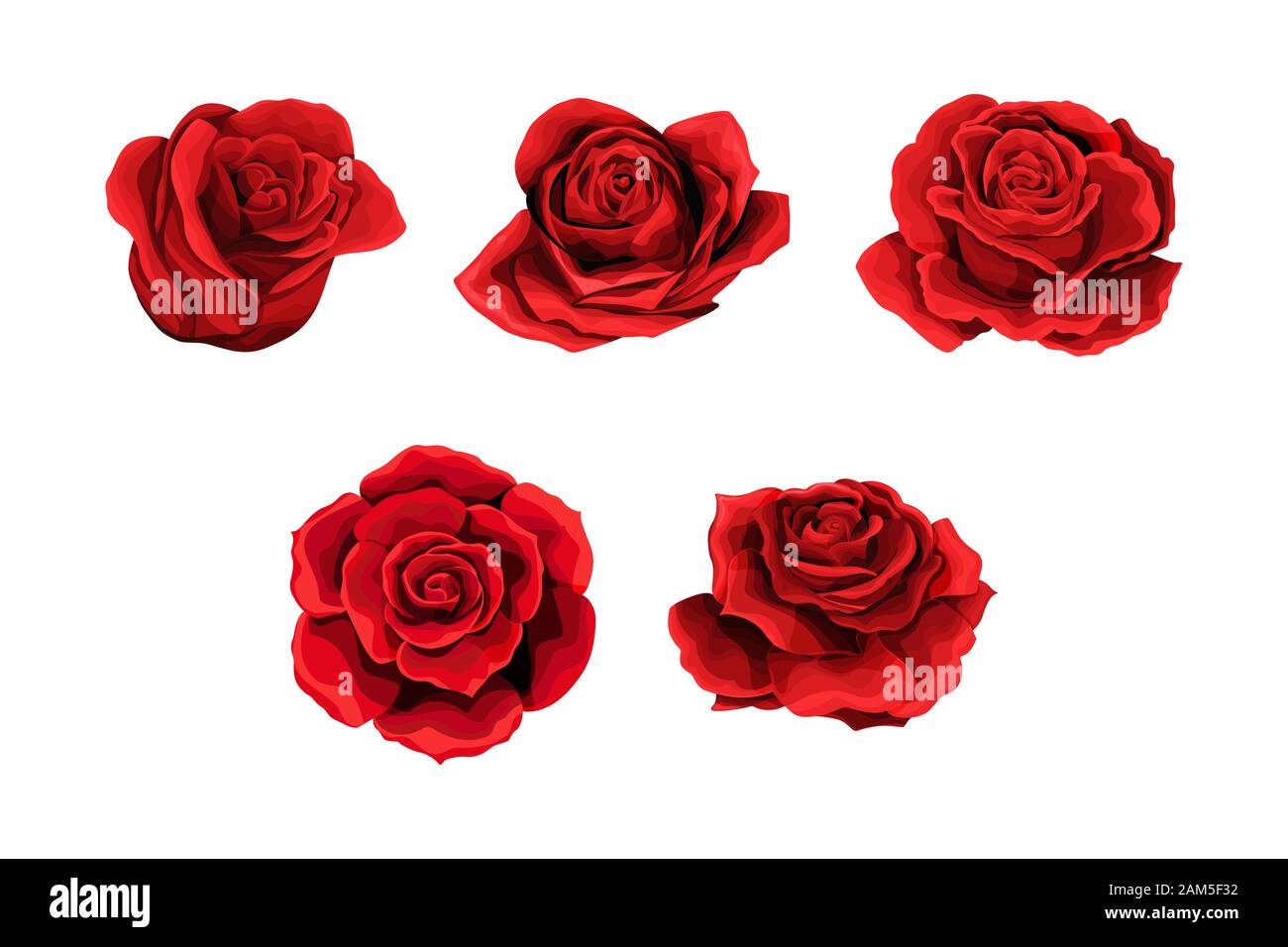 Rose écarlate rouge fleurs sertis. Éléments de design collection isolated on white Illustration de Vecteur
