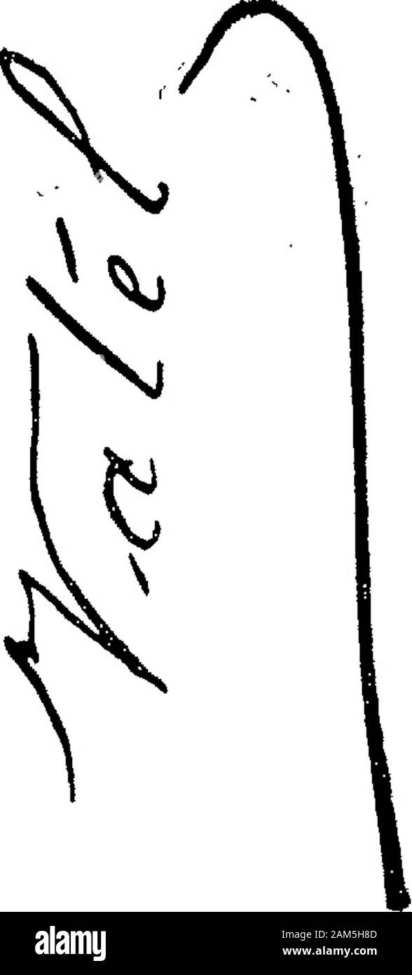 Boletín Oficial de la República Argentina1907 1ra sección . Áf:ssm^ !2 %CiE. 31 de julio de 1907. -Pablo Carrara.-Arfículosde las clases 62 á 71. v-7-agosto. Aeta no ai.09S Diciembre 28 de 1906.-B. Tamburíni y Cia-Artículos délas clases 68 y 69 (modifiée) V 7-agosto. Actaf m md3 ANCLli Aeía l.087 Ko 31 094 31 Julio de 1907.-Brauss, Mahn & Cía.-Artículos de las clases 1 á6 y 61 á 71. v-7-ag03tQ, Julio 31 de 1907.-Siró y Balbiani, CFA-Artículos de las ciases 6á y 69, v-7iag09d#  , Banque D'Images