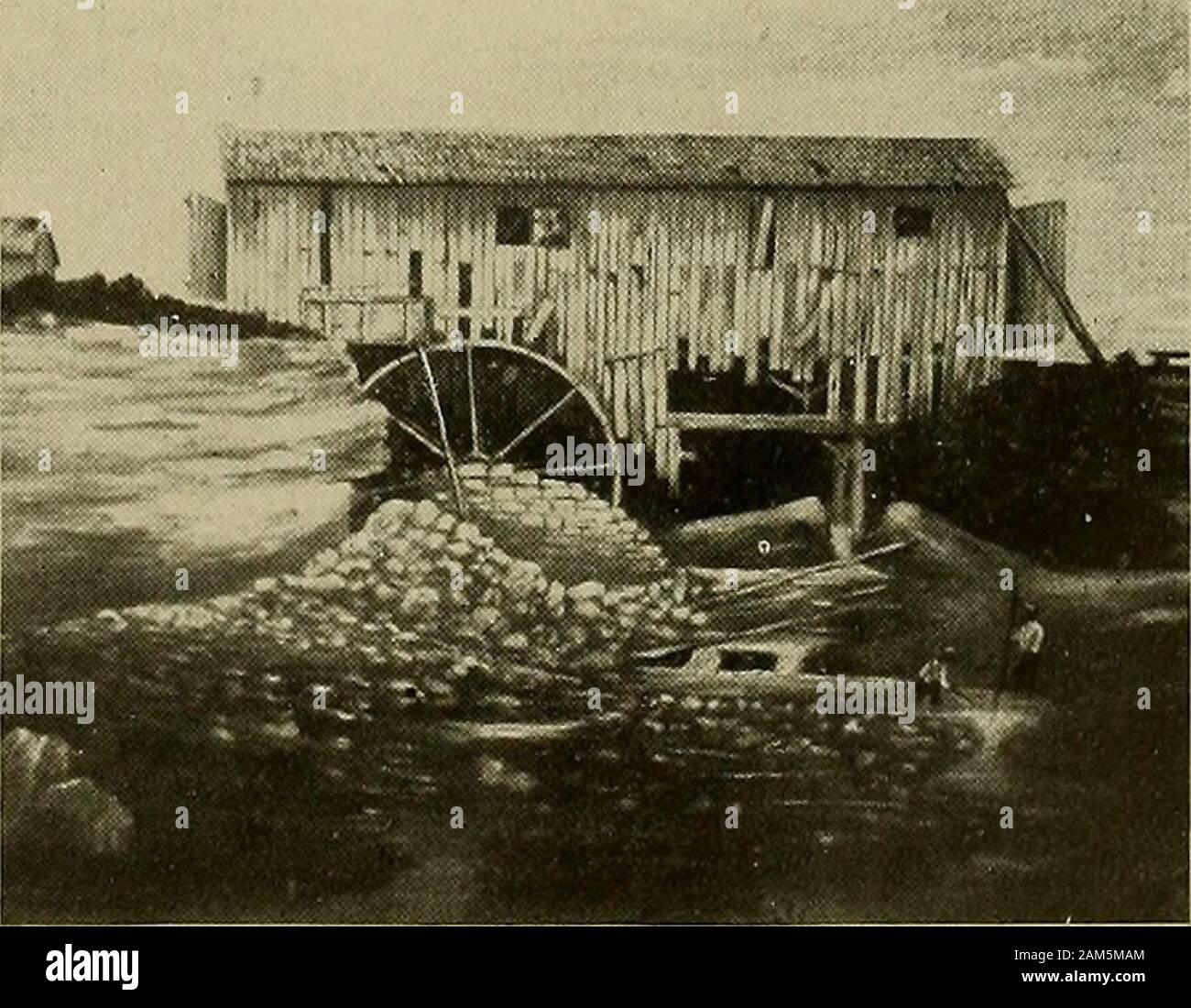 L'histoire du xxe siècle de Springfield, et Clark County, Ohio, et représentant les citoyens . Moulin à huile sur BUCK CREEK, SPRINGFIELDTOWNSHIP. Ancien moulin à scie construit vers 1825, où Mill Run tombe dans Lagonda Creek ET EEPEESENTATIVE LES CITOYENS. Fanny 271 Westlake ; No 3, Pierce, J. F.Runyan ; No 4, Bus, Vinton-ier ; No 5, Thorp, Bessie décapite ; No 7,le cartilage, C. M. Kissell. Chaeleston sud. Harry, surintendant principal secondaire ; Paxton, Mme E. W. Bradley;assistant high school, Lena Knott, sixthgrade, Helen noir ; 7 e année, AnnaLuden ; 5e année, Jane Martin ; il thirdgrade, Pearl Banque D'Images