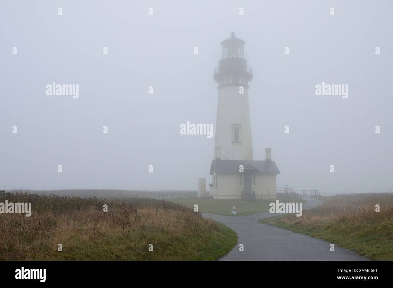 Phare de Yaquina Head dans le brouillard. Phare de l'Oregon États-Unis d'Amérique Banque D'Images