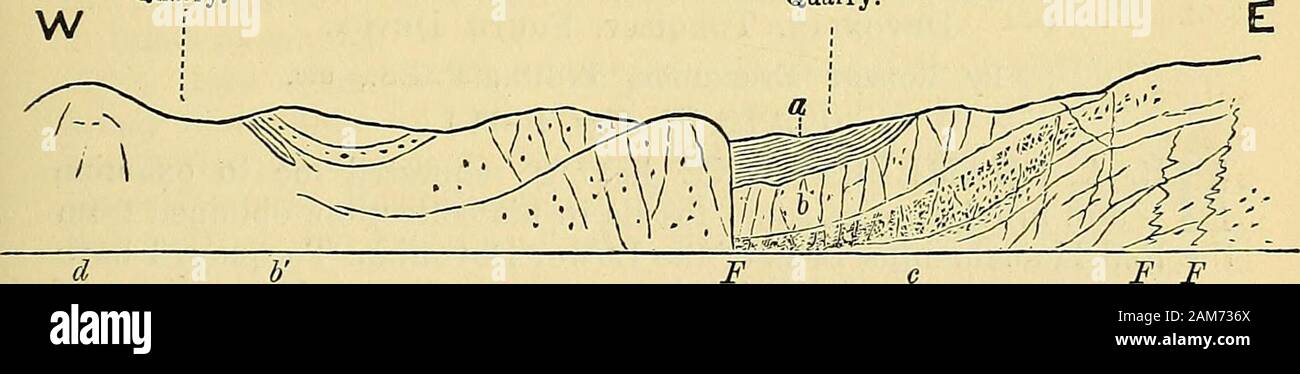 Geological magazine . a  = shalesFiff Cambrian. 25  = grain Cambrian (appelé par le Dr Callaway) Précambrien. Carrière. L'ensemble de la section inférieure (Sud), carrière S. de Nebo, Anglesey.Dr. Eobertss Article. Carrière.. F F a. Beaucoup d'ardoise noire  = schistes Cambrien écrasé. 5  = grain Cambrian (appelé par le Dr Callaway) Précambrien. b. Ardoise noire et grès subalterne. c. Transmission et veiné, grits en parties. conglomératiques (^  = Digue. JJ ? =Défauts. Les points en litige doit maintenant, je pense, d'être parfaitement clair. Le Dr Callaway (Geol. Mag. 10 févr. 1882, p. 57) affirme, en se référant à mycriticism, J'ai toujours été parfaitement au courant Banque D'Images