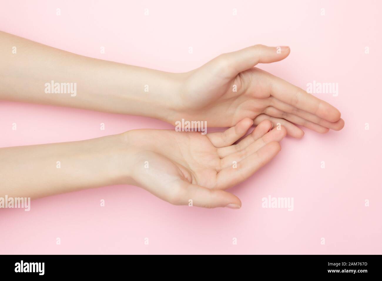 La femme mains sur un fond rose. Cosmétiques pour les soins de la peau  sensibles. Cosmétiques naturels pour pétales, soin anti-rides pour les mains.  Un poignet fin et naturel Photo Stock -