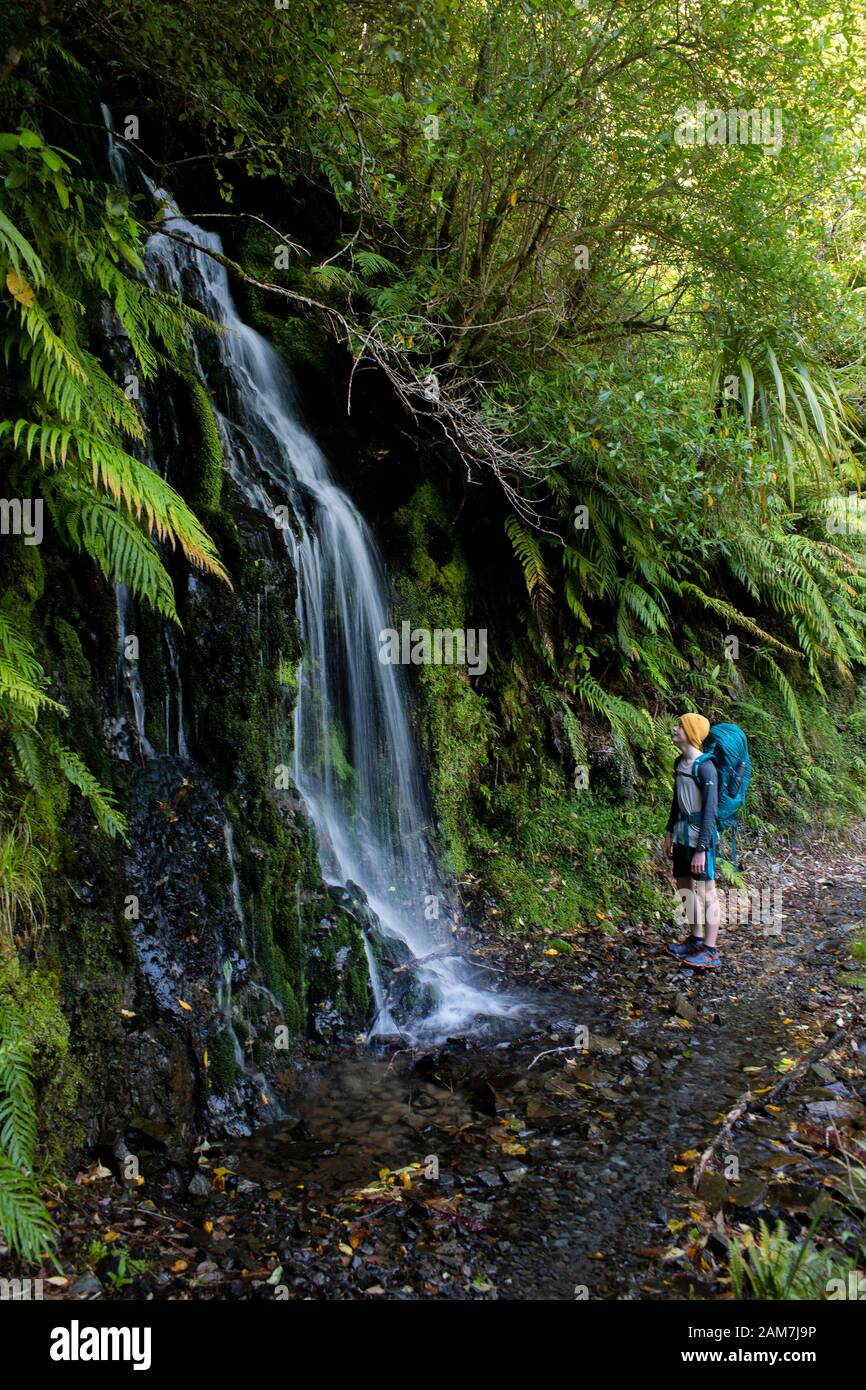 Marche de la route Old Ghost, Nouvelle-Zélande: À mi-chemin entre Mokihinui Forks et Sedonville Banque D'Images