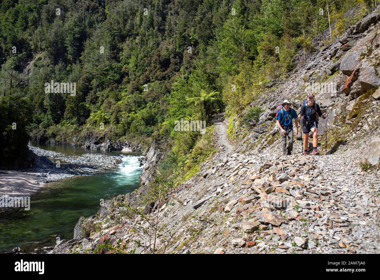 Marche de la route Old Ghost, Nouvelle-Zélande: À mi-chemin entre Mokihinui Forks et Sedonville Banque D'Images