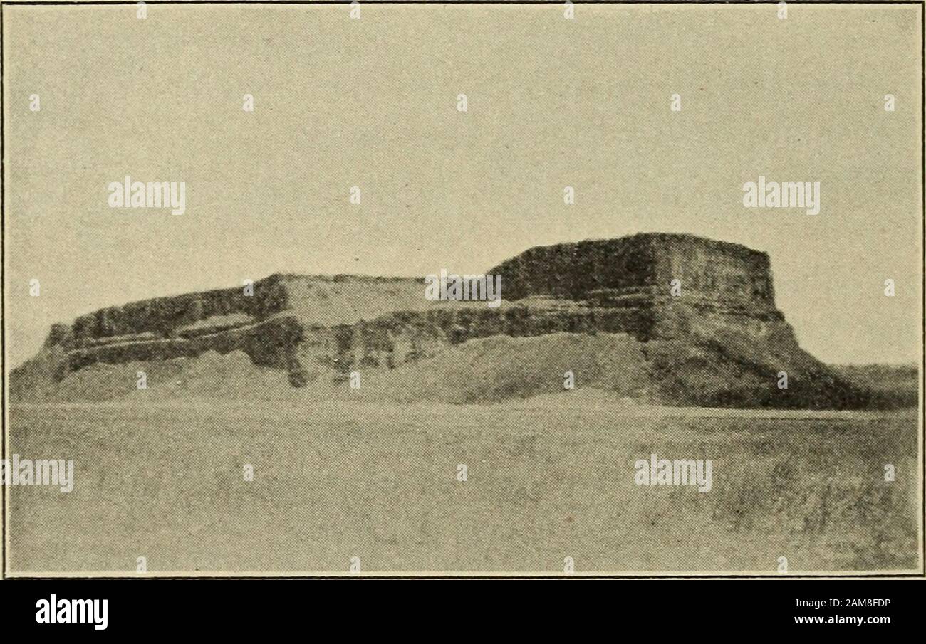 Bulletin de la Société géologique de l'Amérique . Acad. Sciences, vol. S, 1918. P. 411-412), soutient que les chutes sont havérées sur 17 milles, presque toute la longueur de la coulee inférieure. (504 J. H. BRETZ GLACIAL DRAIXAGE OX COLL^MBIA PLATEAU AGGTADED FLOOR. Les côtés nord-ouest de ces collines sont notamment arrondis au lisothedand et quelques striae d'ours. L'orientation varie, comme on l'attendait sur les collines rocheuses accidentées remplacées par la glace, mais elle n'est pas loin du nord-ouest au sud-est. Les côtés sud-est sont raides et irréguliers. La structure de Thesheeted du granit semble s'être prêtée à la cueillette l)yla glace. Banque D'Images