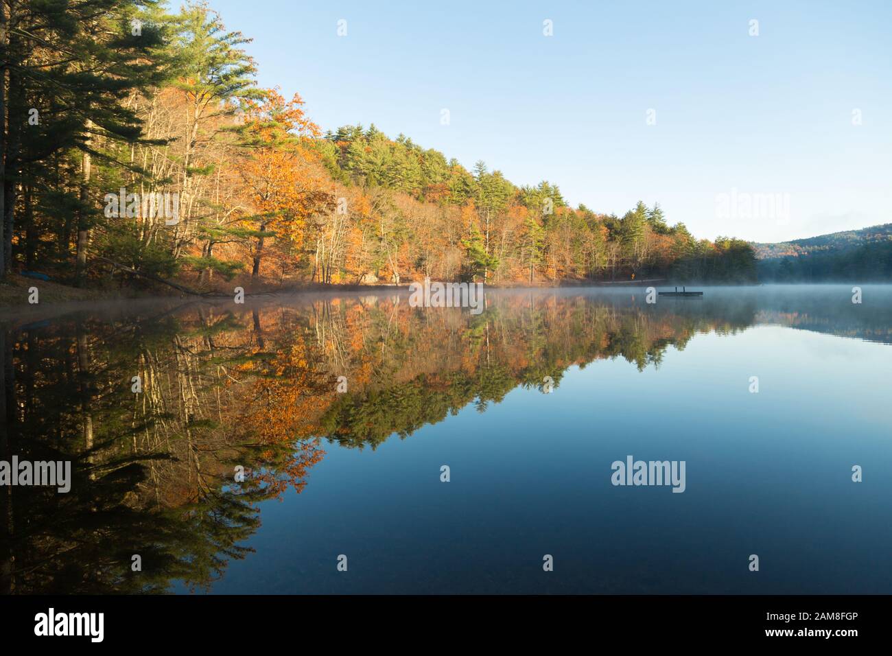 Feuilles d'automne sur un étang de baignade en Nouvelle Angleterre Banque D'Images Feuilles d'automne sur un étang de baignade en Nouvelle Angleterre Banque D'Images